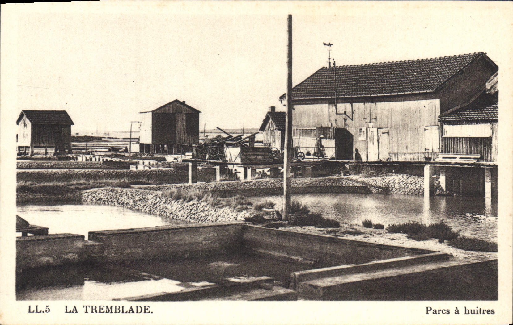CPA La Tremblade Parcs A Huitres