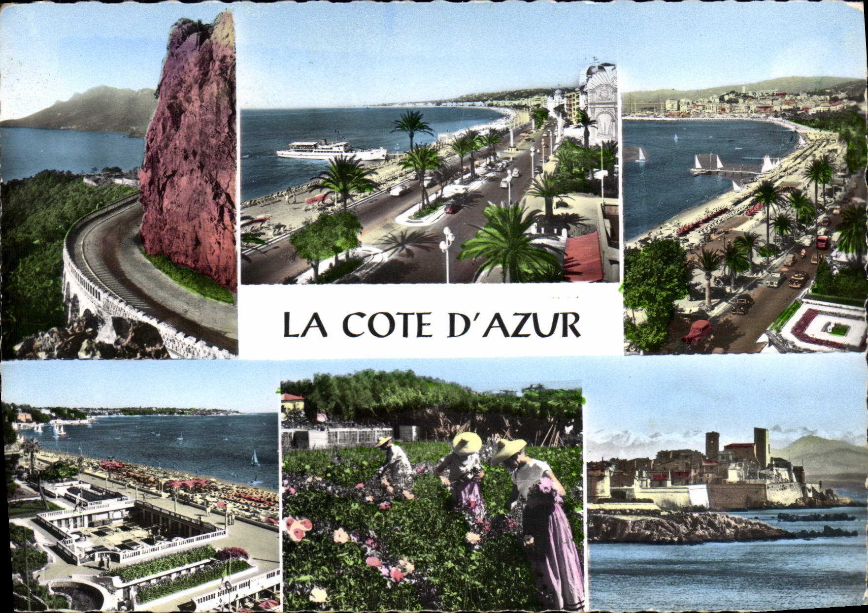 CPSM Esterel Cap Roux Nice Cannes Juan Les Pins Cueillette Des Roses Antibes
