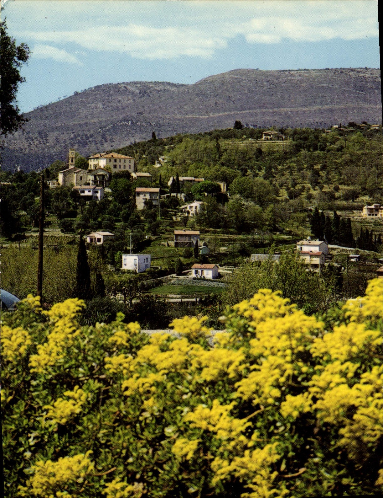 CPSM Environs De Grasse Vue Generale Opio