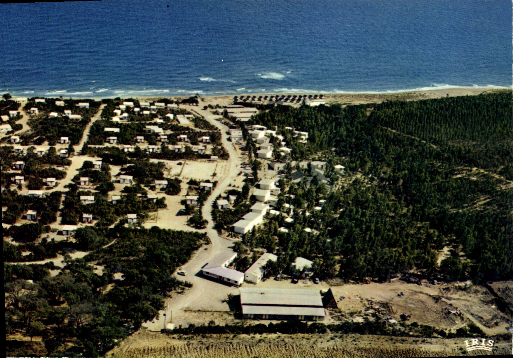 CPSM Corsicana Vue Generale Alistro