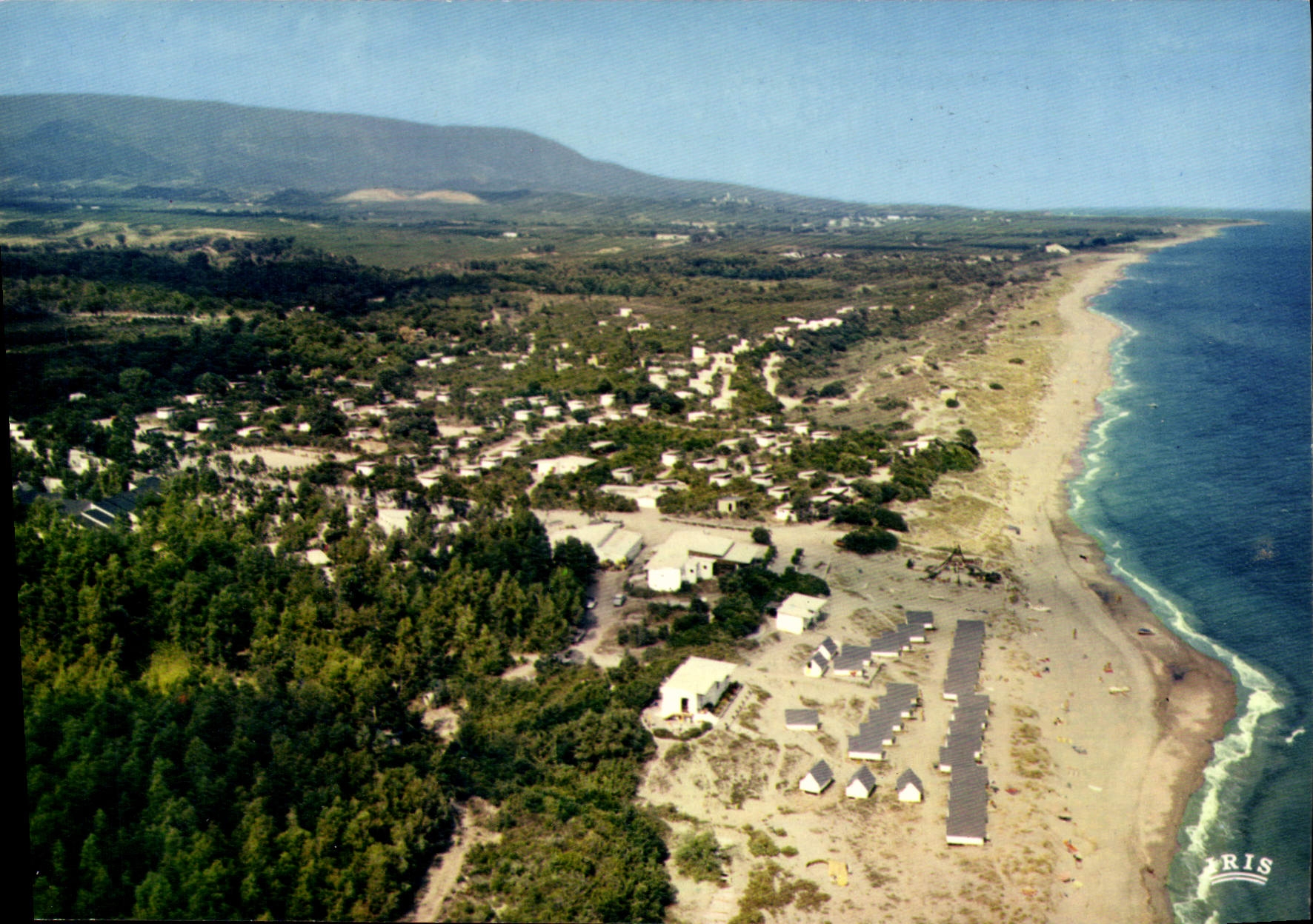 CPSM Corsicana Vue Generale Alistro