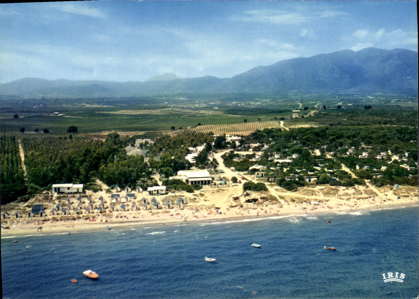 CPSM Corsicana Vue Generale Alistro