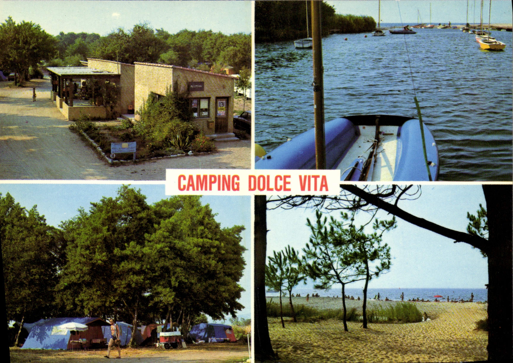 CPSM Calvi Dolce vita Camping Caravaning
