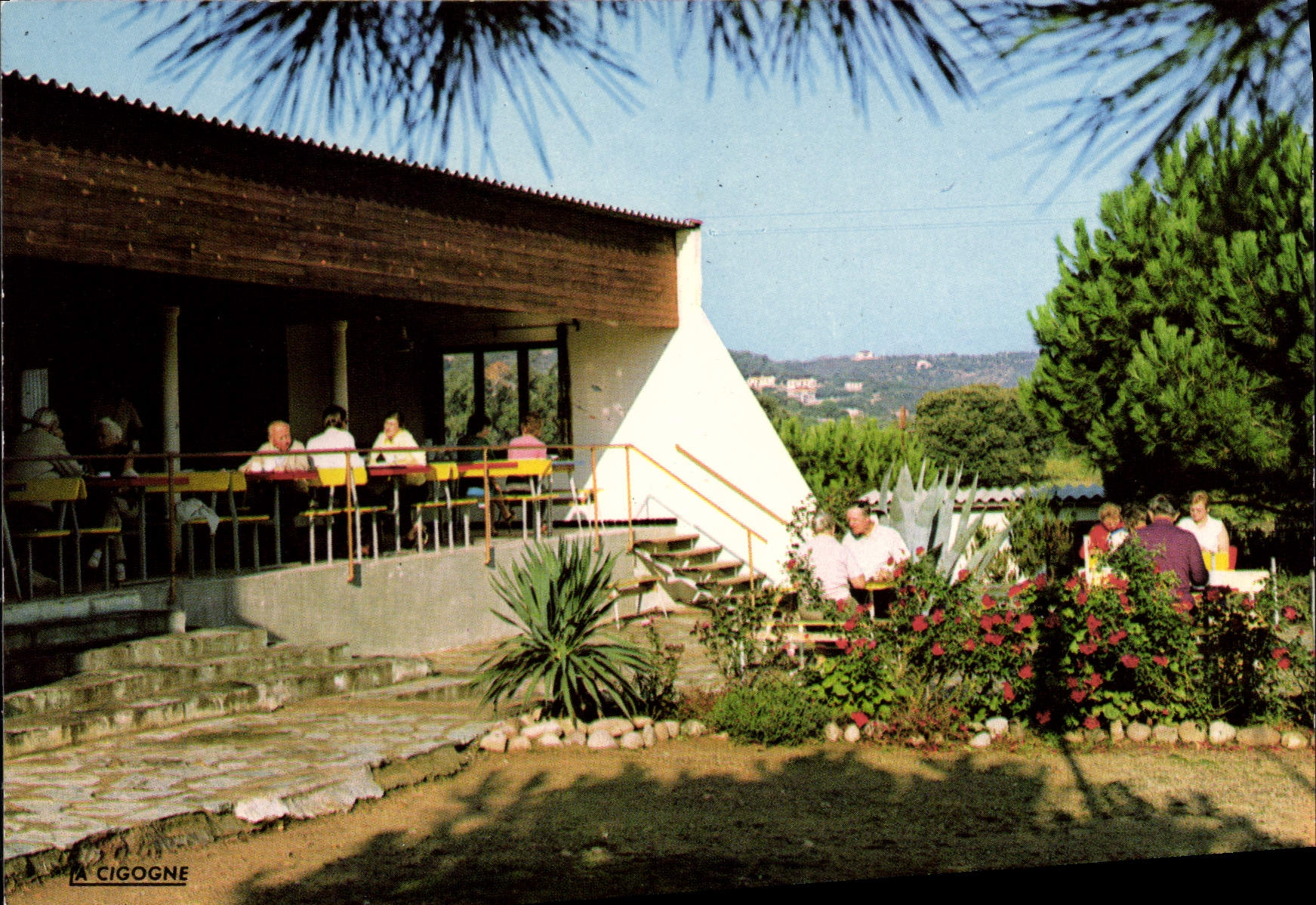 CPSM Calvi Terrasse Superieure