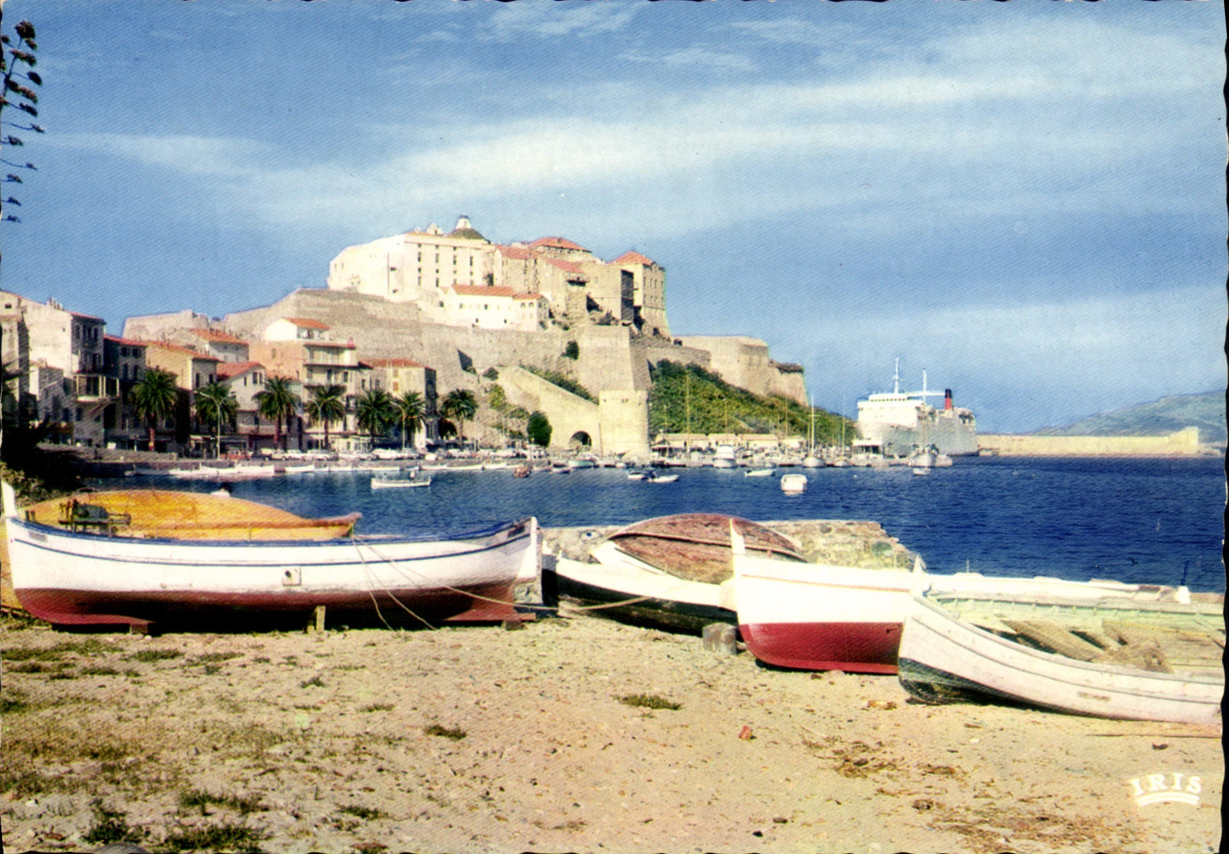 CPSM Calvi Vue D'Ensemble Le Port Et La Citadelle