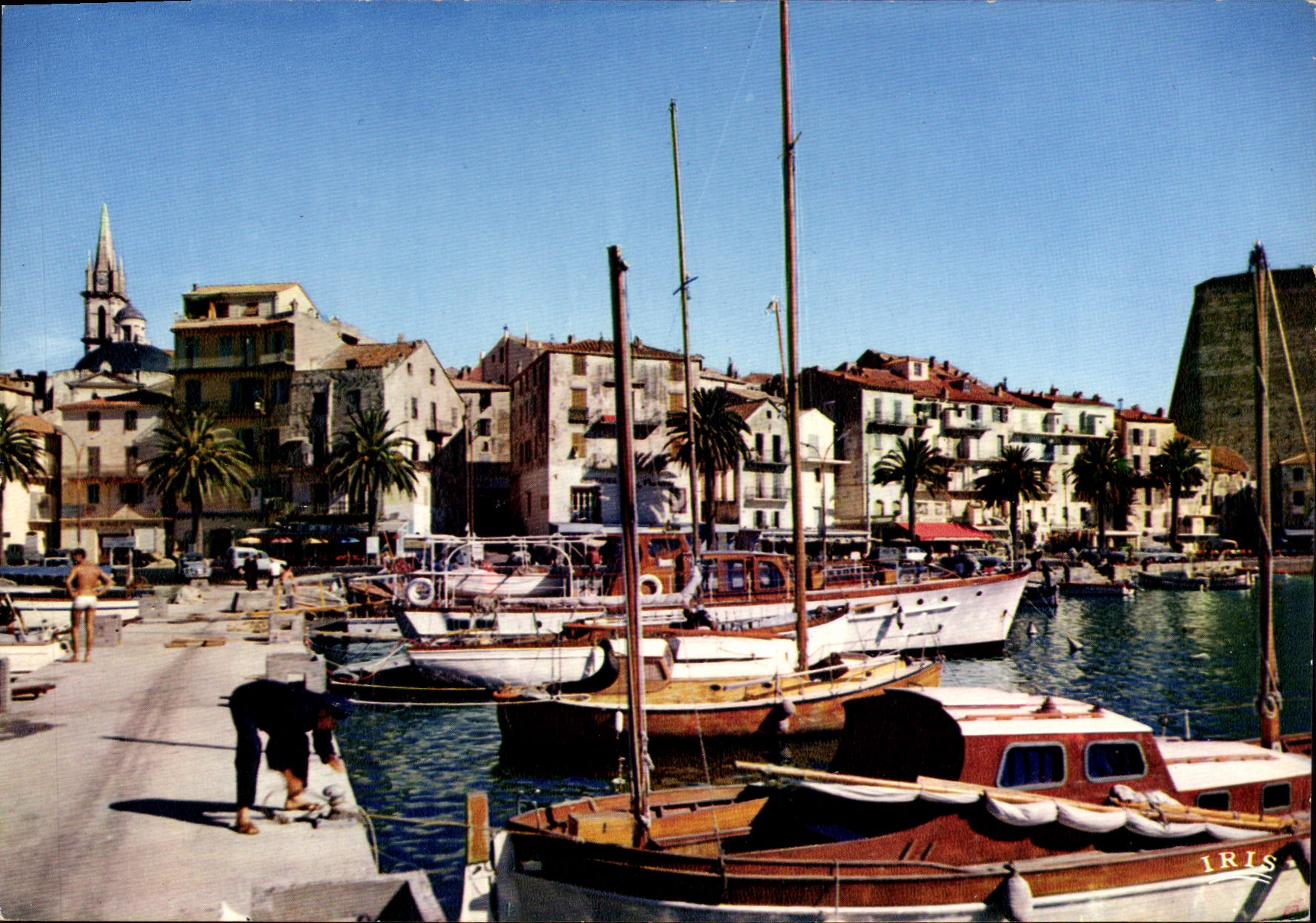 CPSM Calvi Le Port De Plaisance