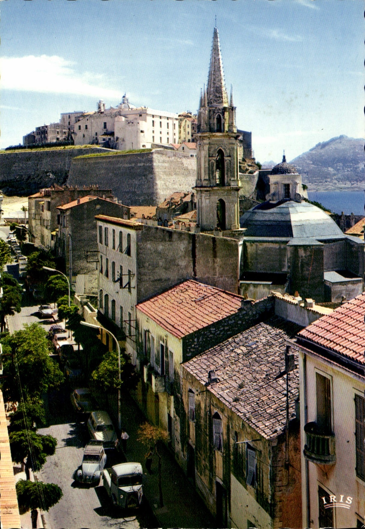 CPSM Calvi Le Cours Wilson Centre De La Ville