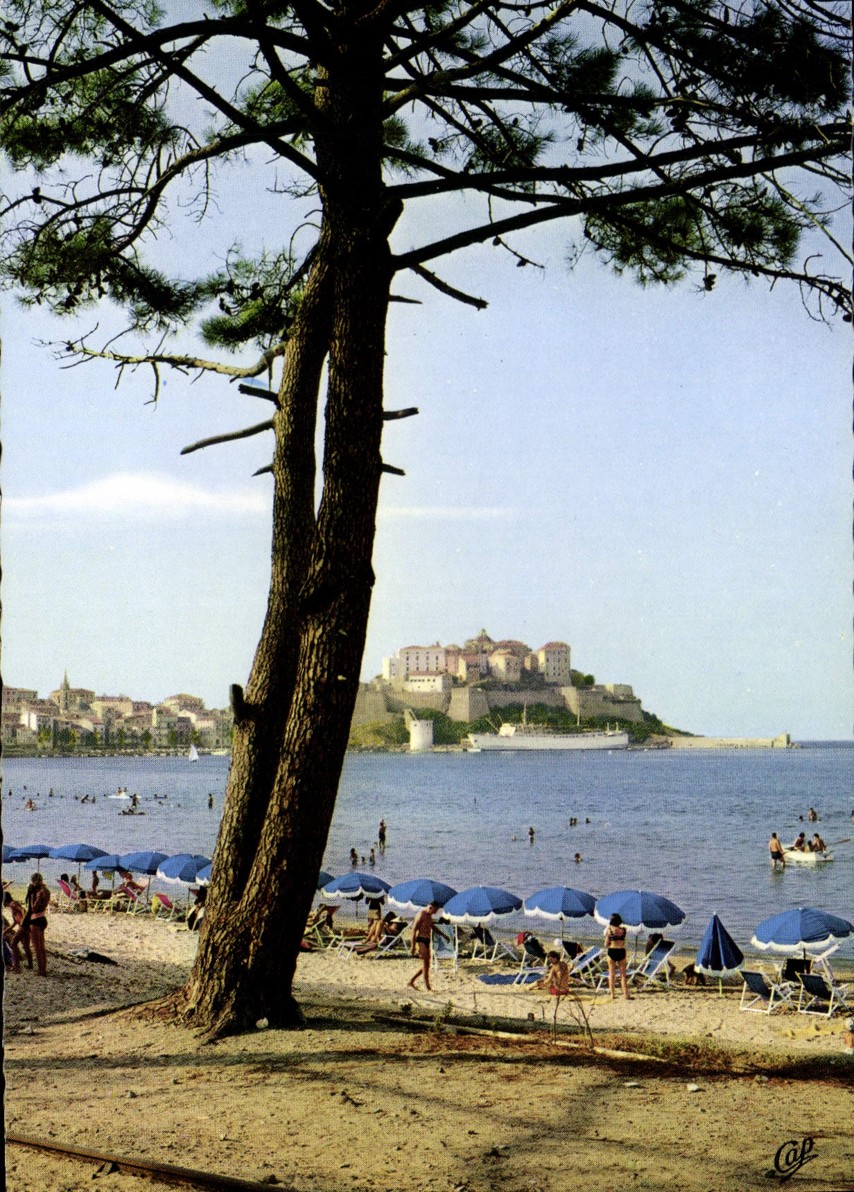 CPSM Calvi La Plage Et La Citadelle