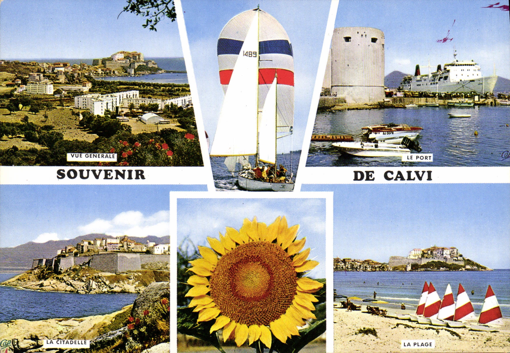 CPSM Calvi Ile De Beaute