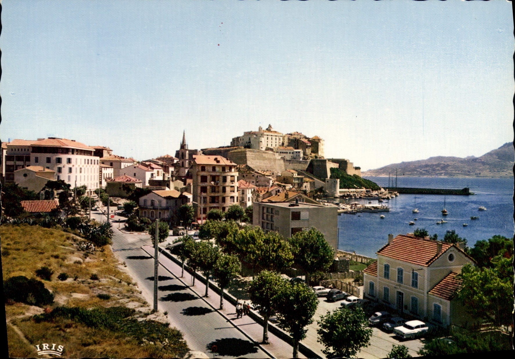 CPSM Calvi Le Grand Hotel Et Le Cours Wilson