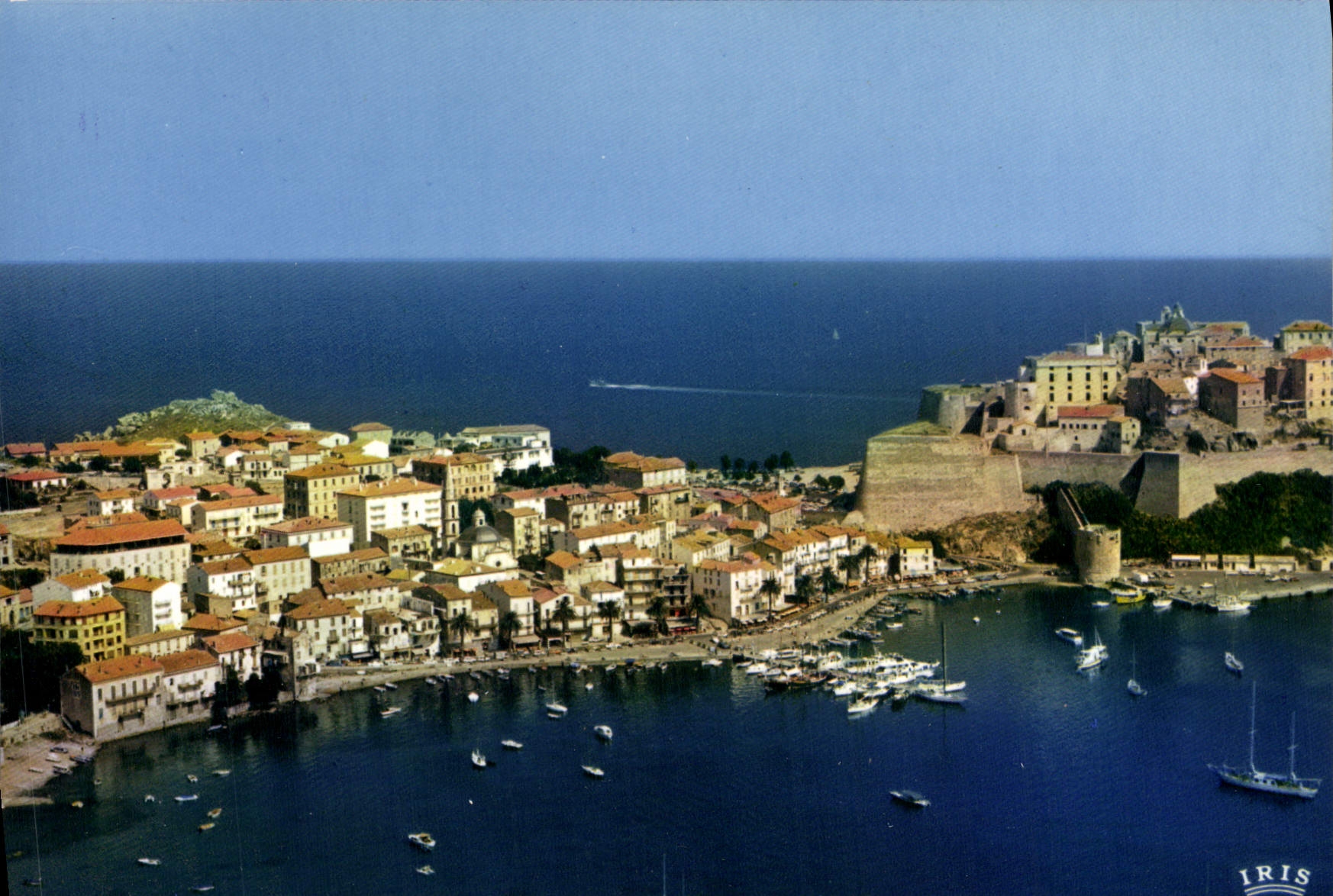 CPSM Calvi La Ville Et La Citadelle Port De Plaisance