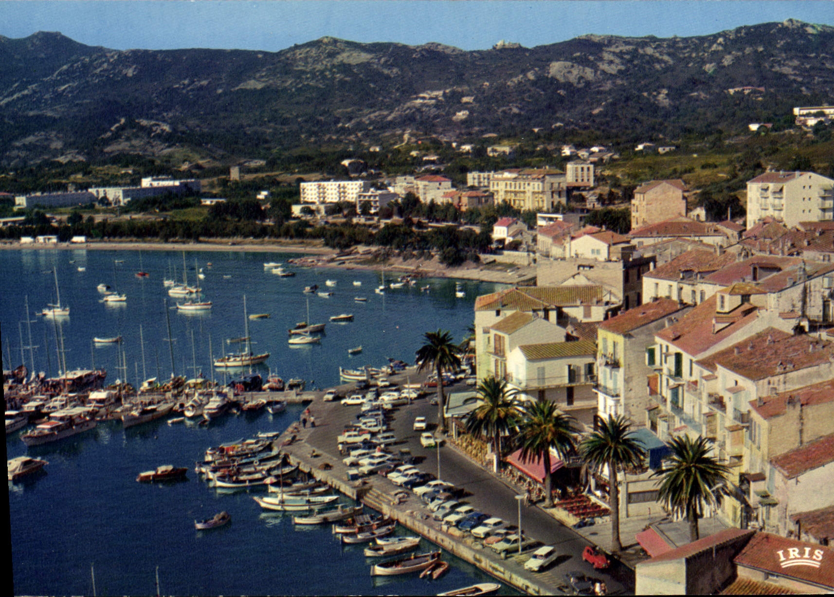 CPSM Calvi La Ville Et Le Port De Plaisance