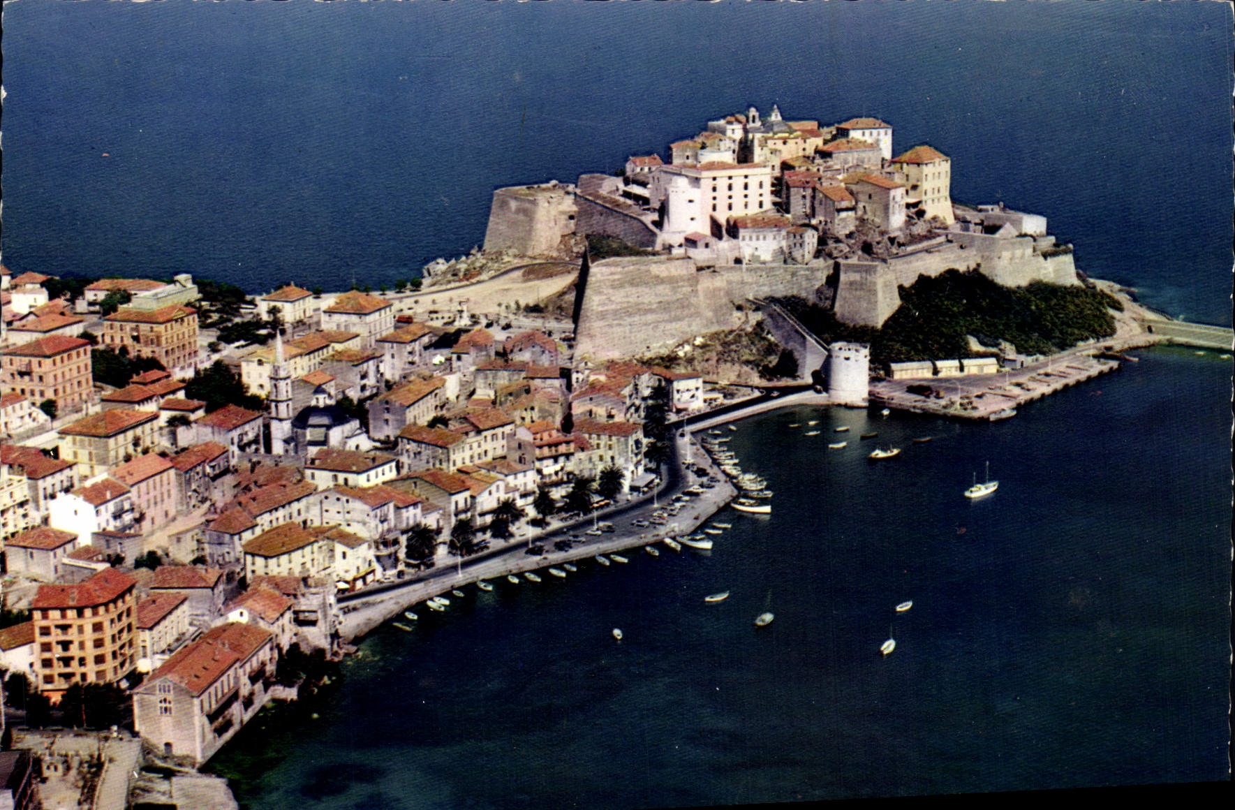 CPSM Calvi Le Port Et La Citadelle