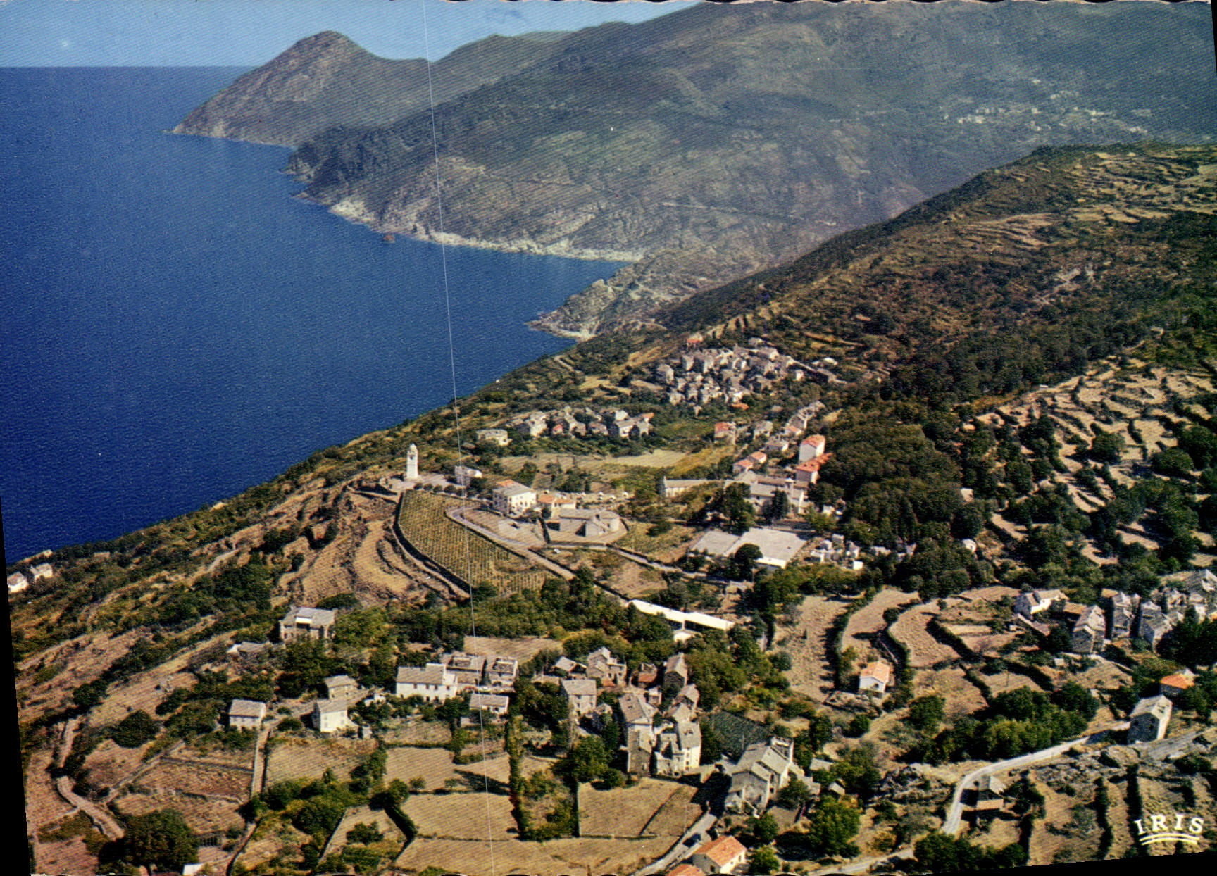 CPSM Canari La Montagne Et La Mer
