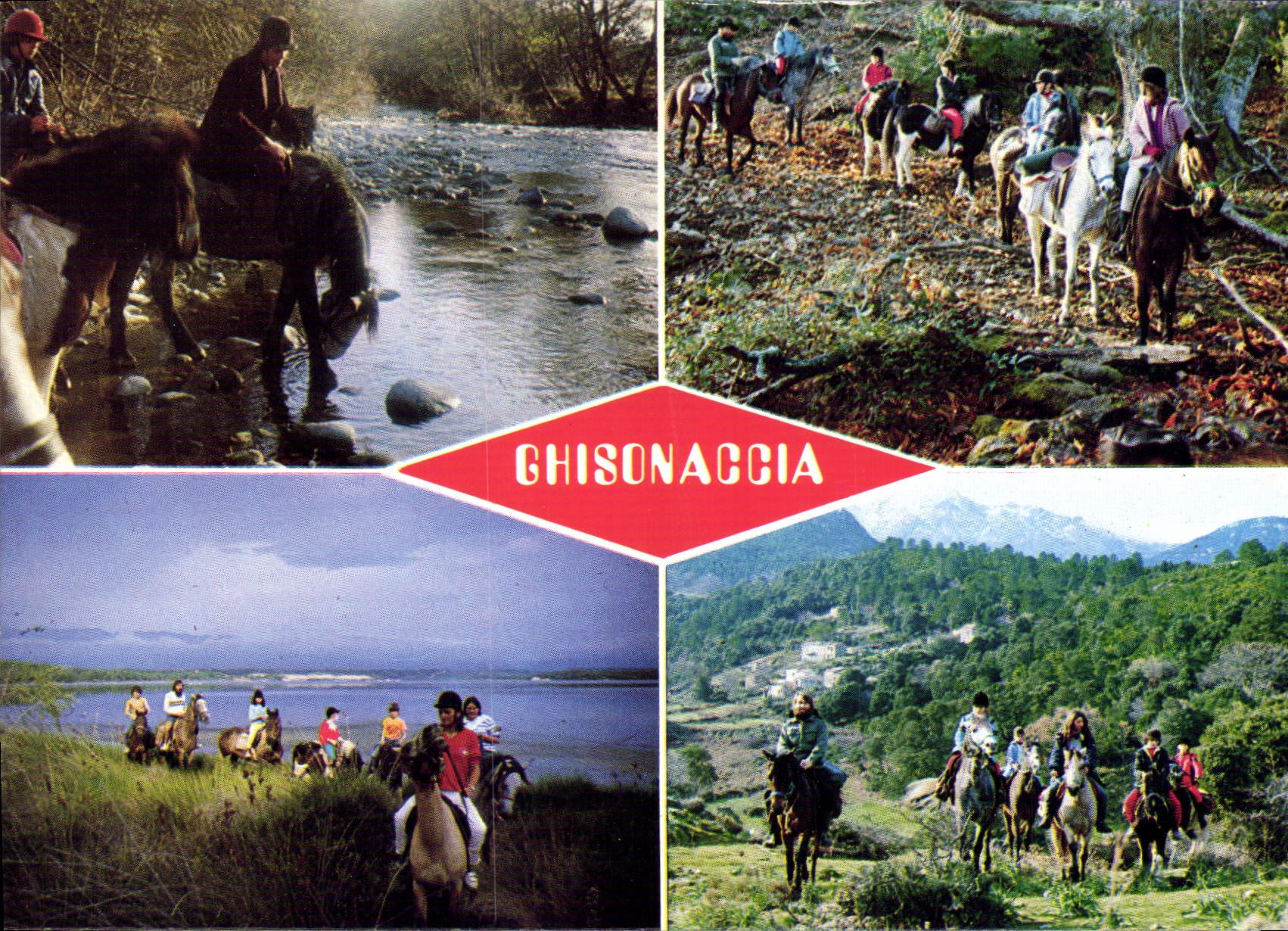 CPSM Cavallu Diu Fium Orbu Bruschettu Ghisonaccia