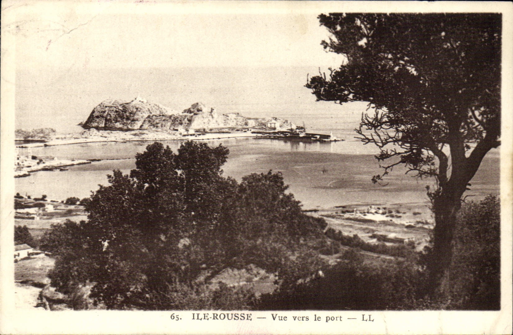 CPA Ile Rousse Vue Vers Le Port