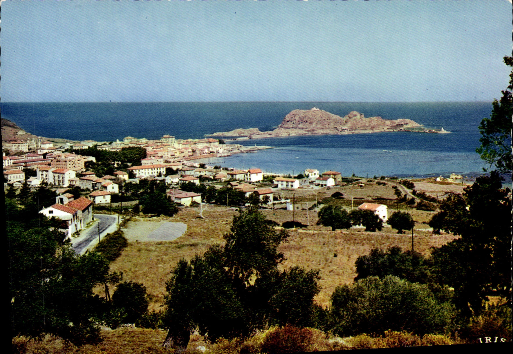 CPSM Ile Rousse Vue Generale