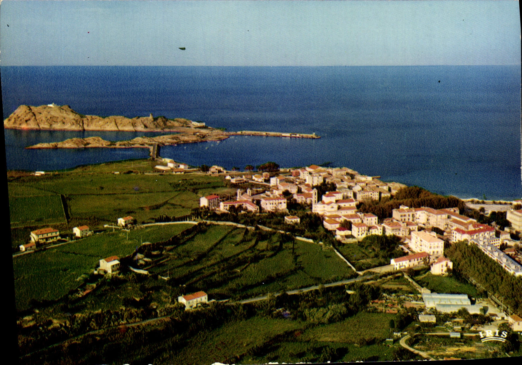 CPSM Ile Rousse Vue Generale