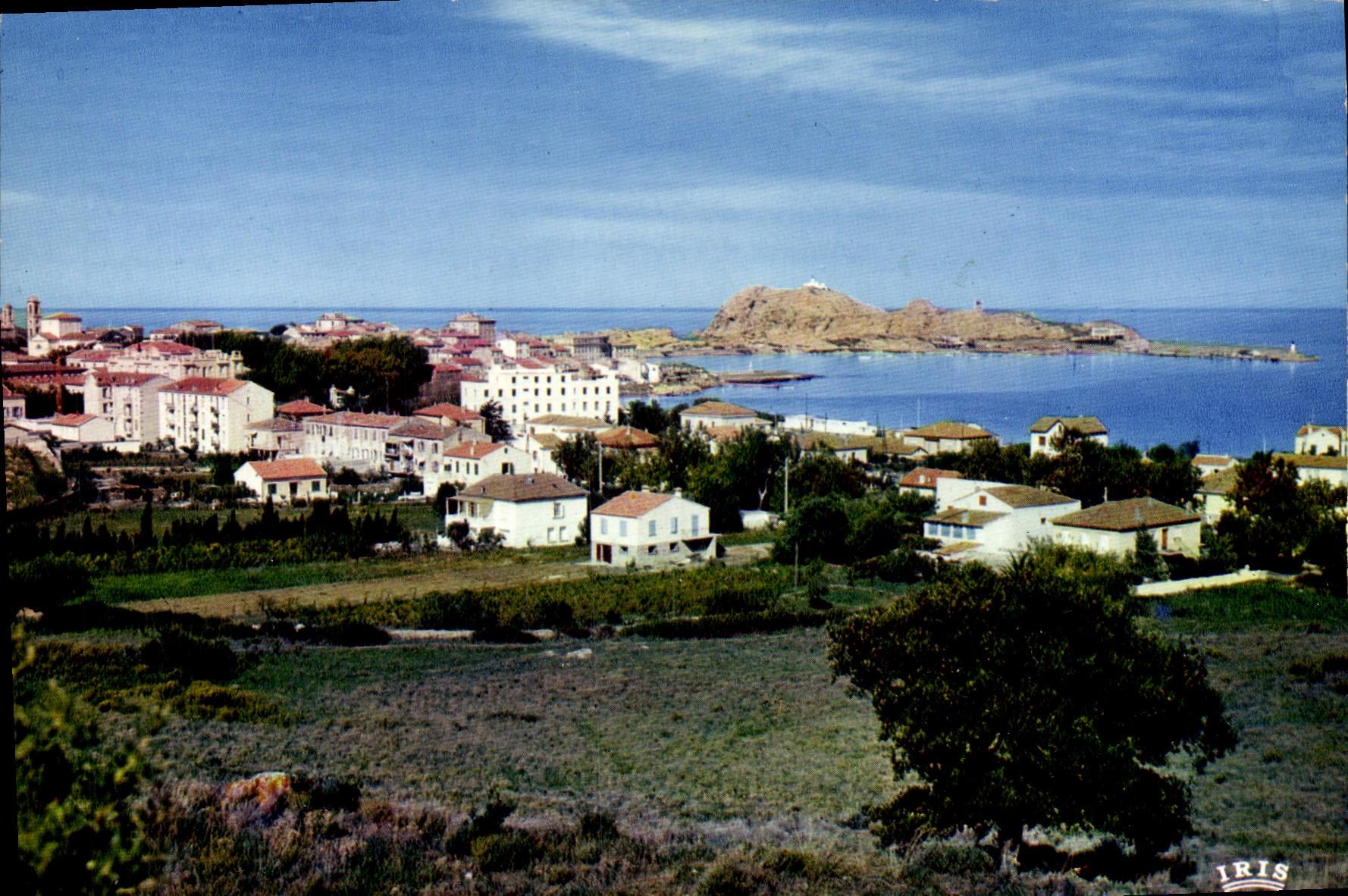 CPSM Ile Rousse Vue De La Ville