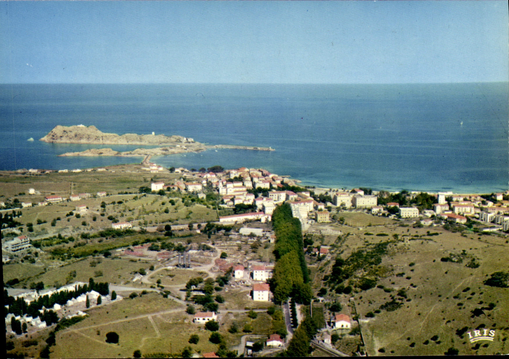CPSM Ile Rousse Vue D'Ensemble De La Ville