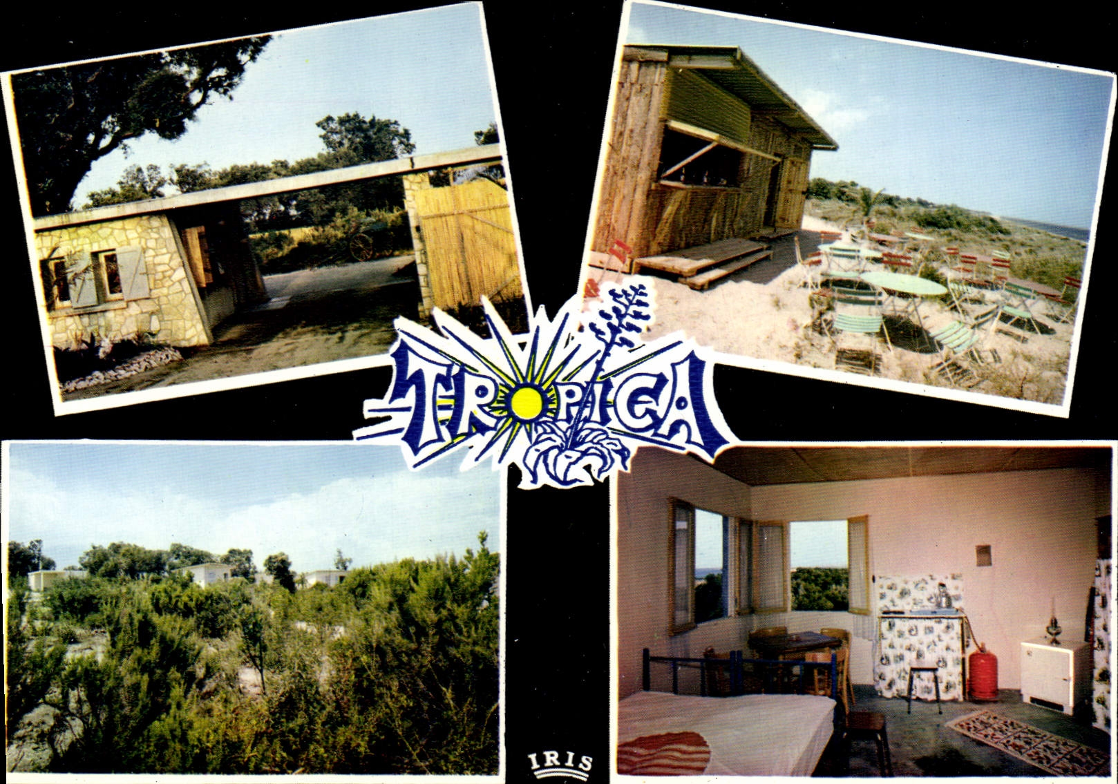 CPSM Tropica Par Chiatra Commune De Linguizzetta