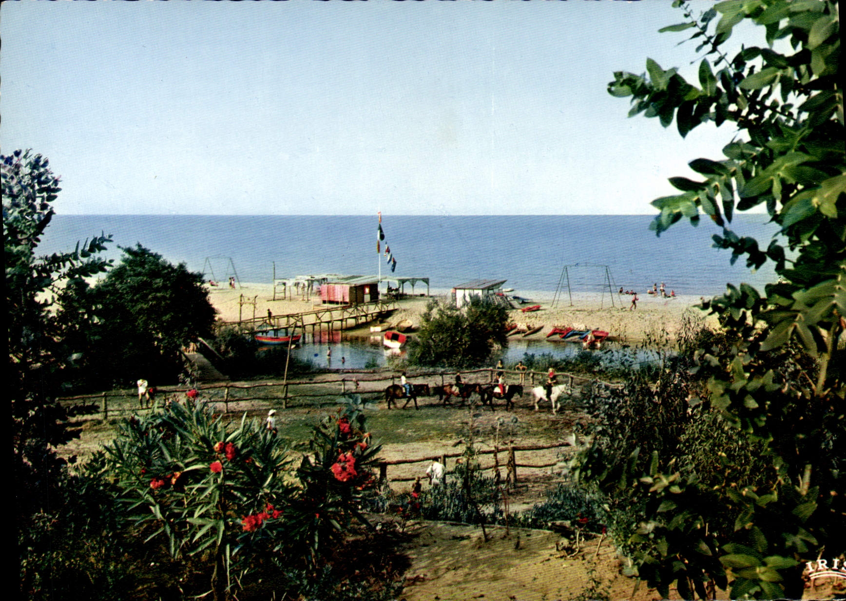 CPSM Linguizetta Bravona Manege Et La Plage