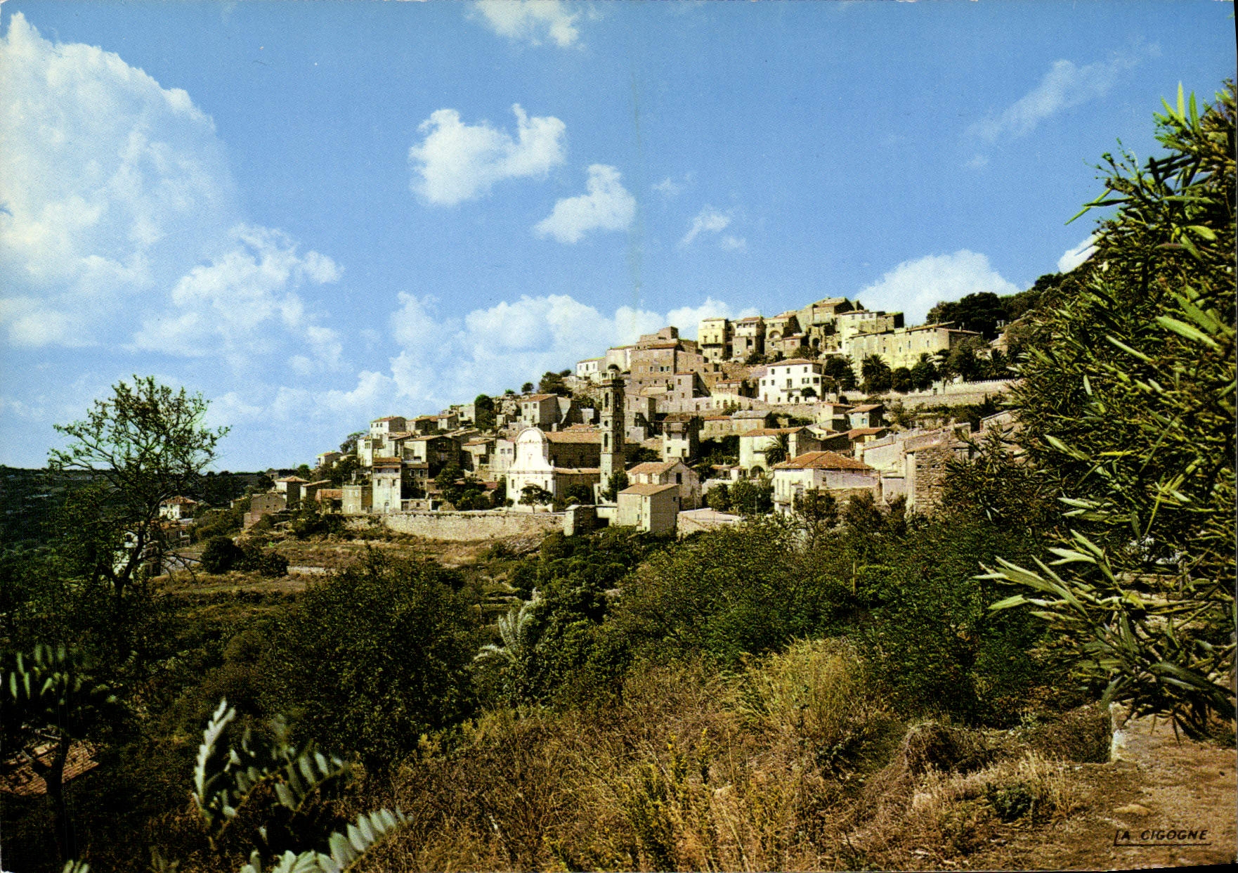 CPSM Lumio Une Vue Du Village Cliche Particulier Savelli Marie Paule