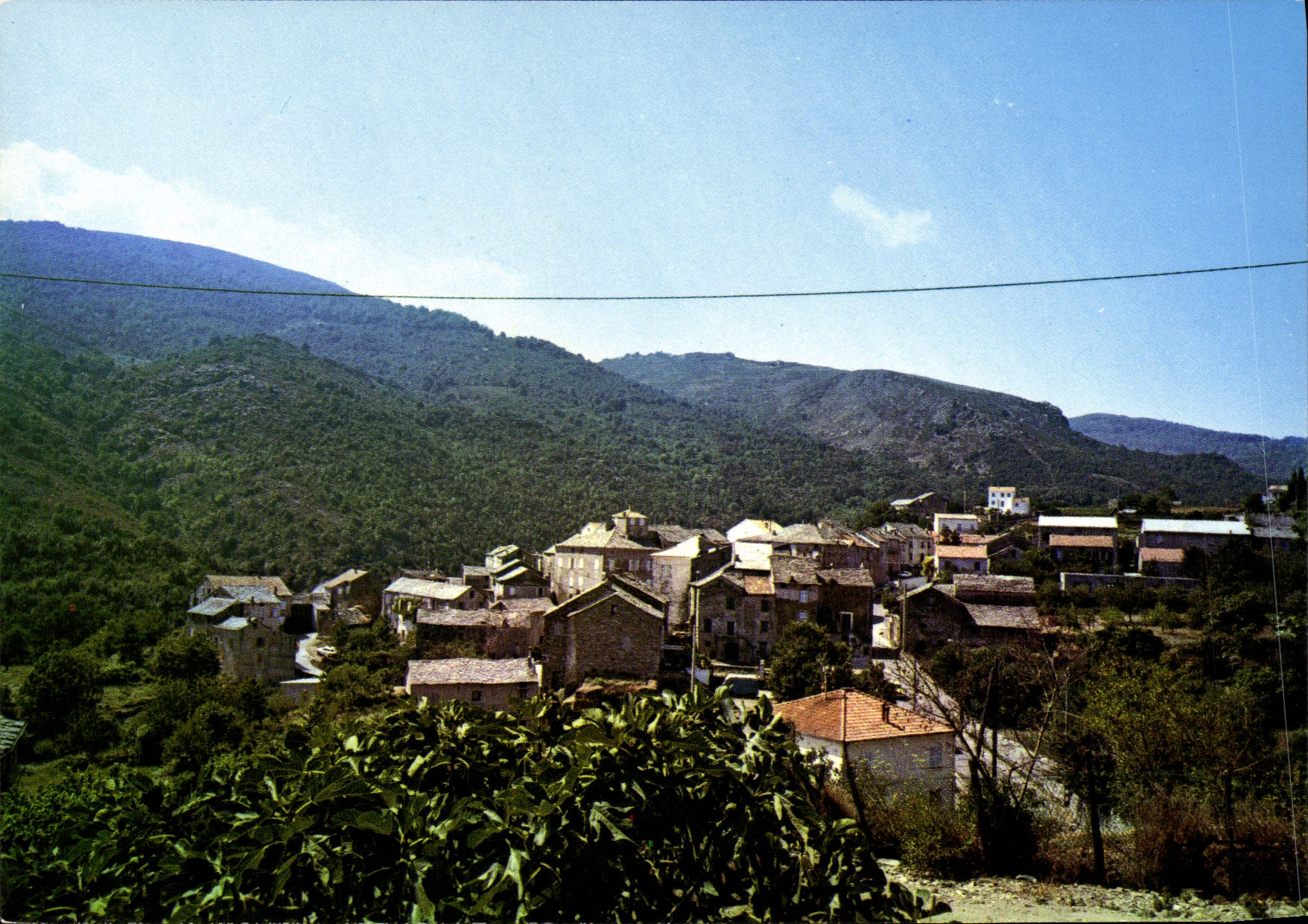 CPSM Murato Vue Generale Du Village St Jean Cliche Particulier Murati