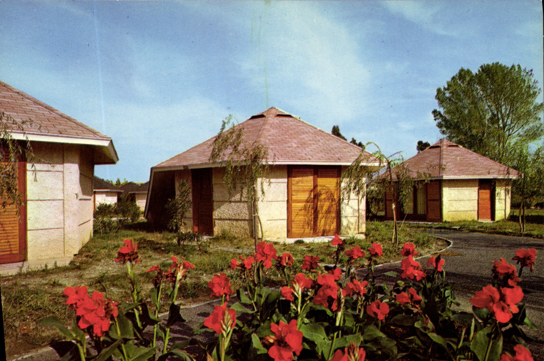 CPSM Taglio Isolaccio Centre De Vacances De Loisirs Et De Repos Quelques Bungalows