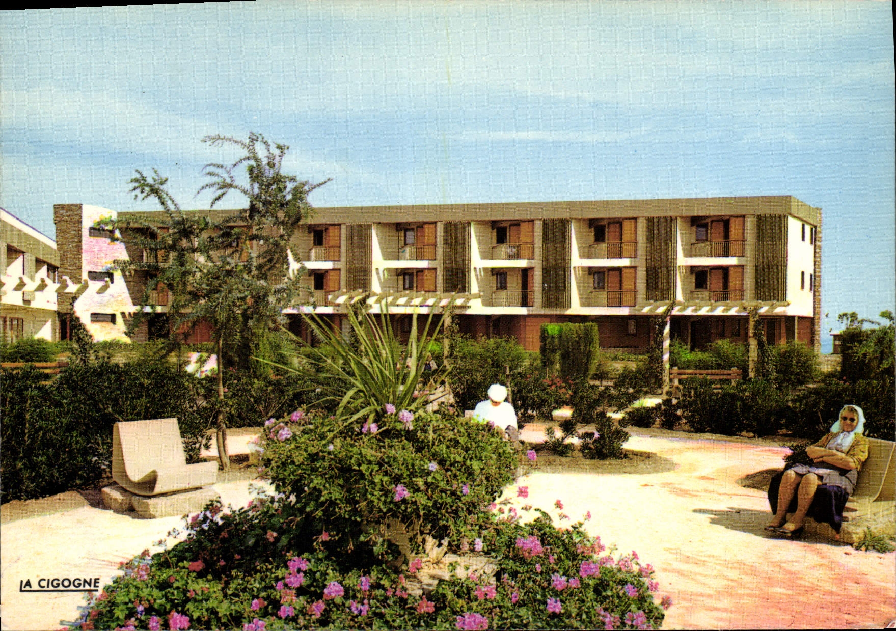 CPA Taglio Isolaccio Centre De Vacances De Loisirs Et De Repos Le Jardin Des Pergolas