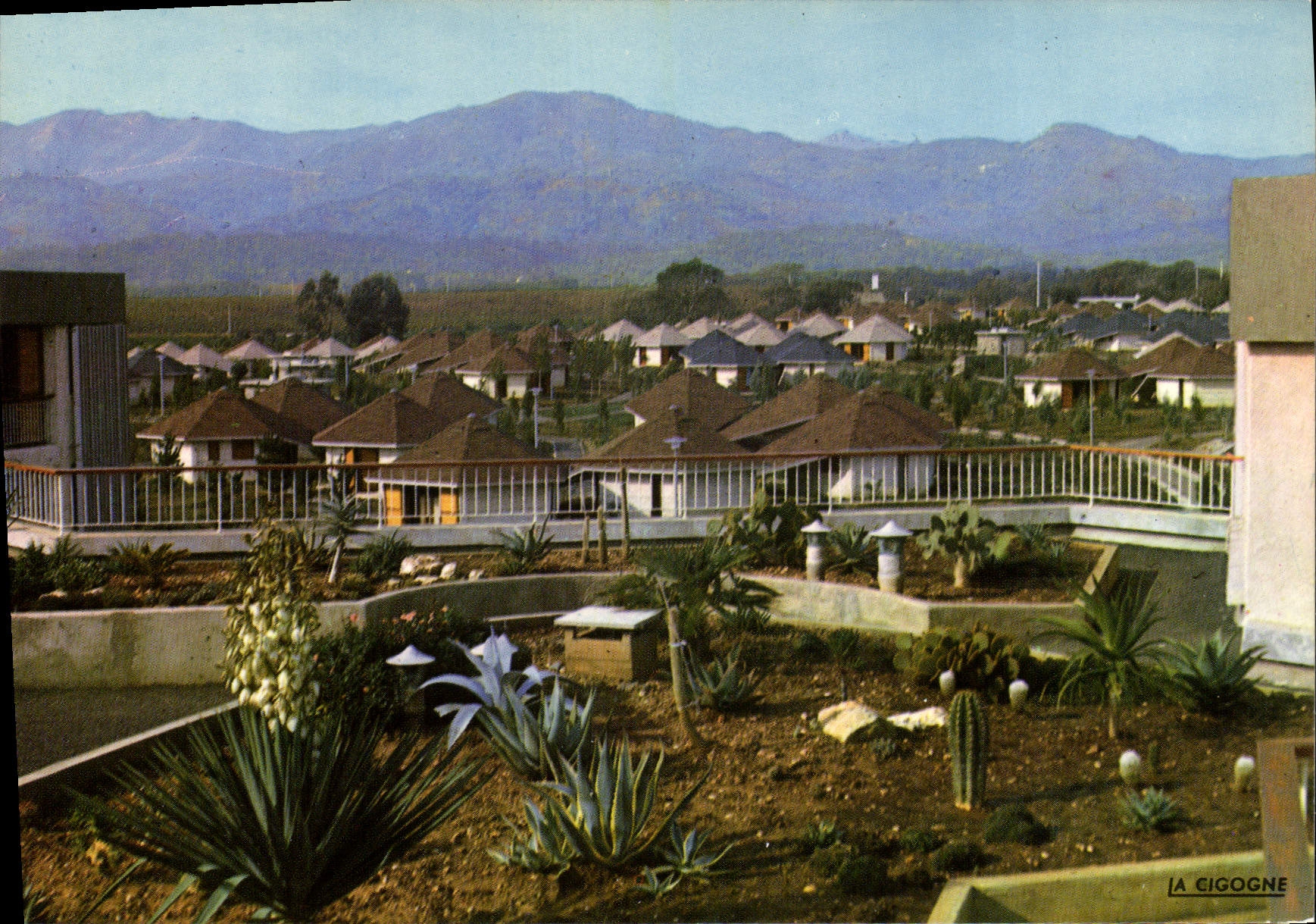 CPA Taglio Isolaccio Centre De Vacances De Loisirs Et De Repos Vue Generale Depuis Le Jardin mexicai