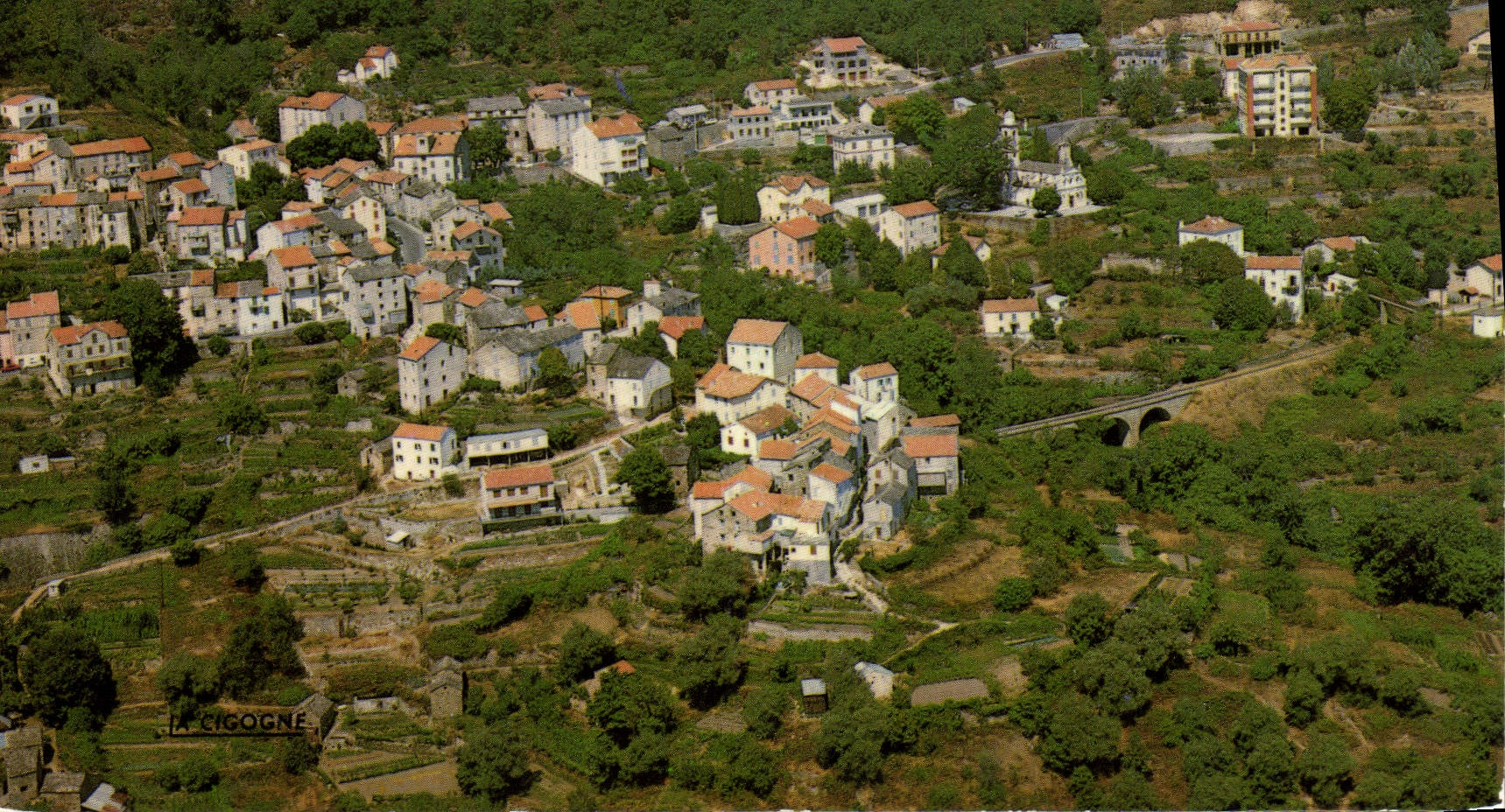 CPA Venaco Vue Generale Quartier Serraggio