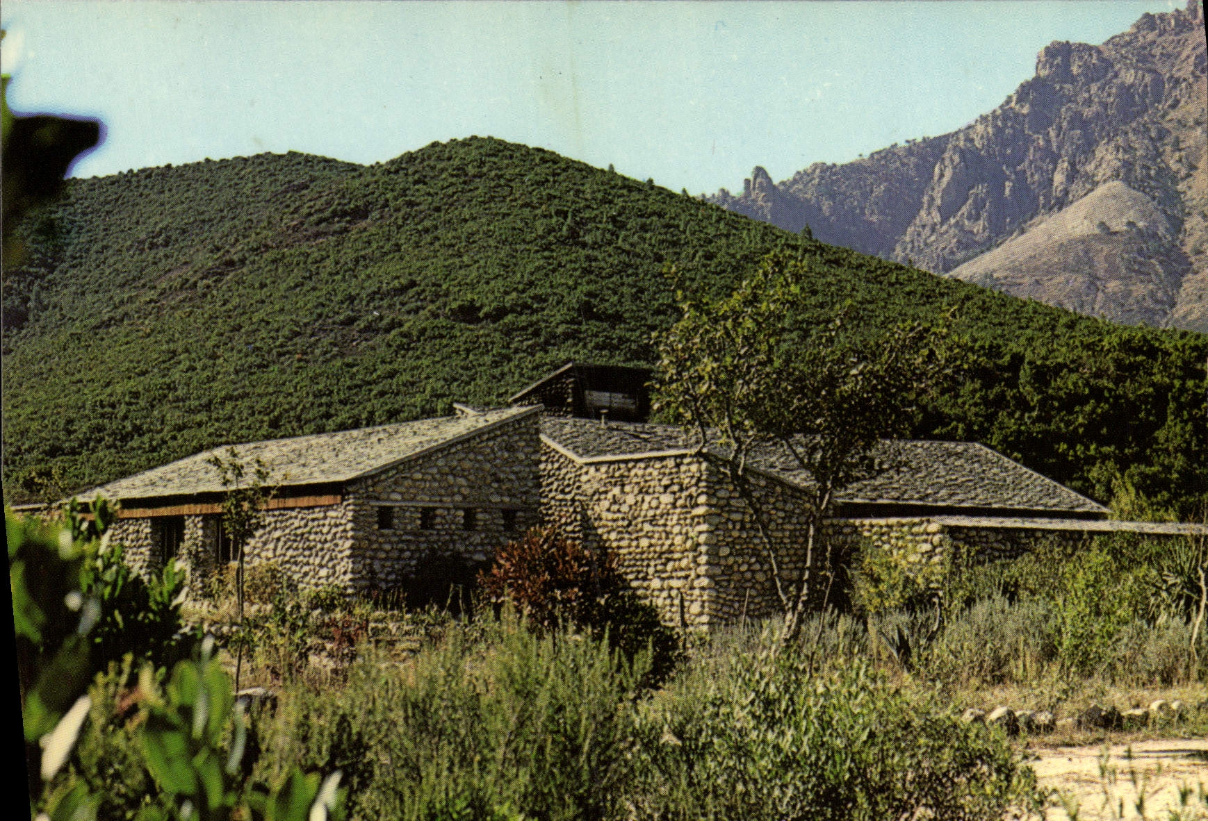 CPA Paesotel E Caselle Venaco Noceta Vue Du Restaurant