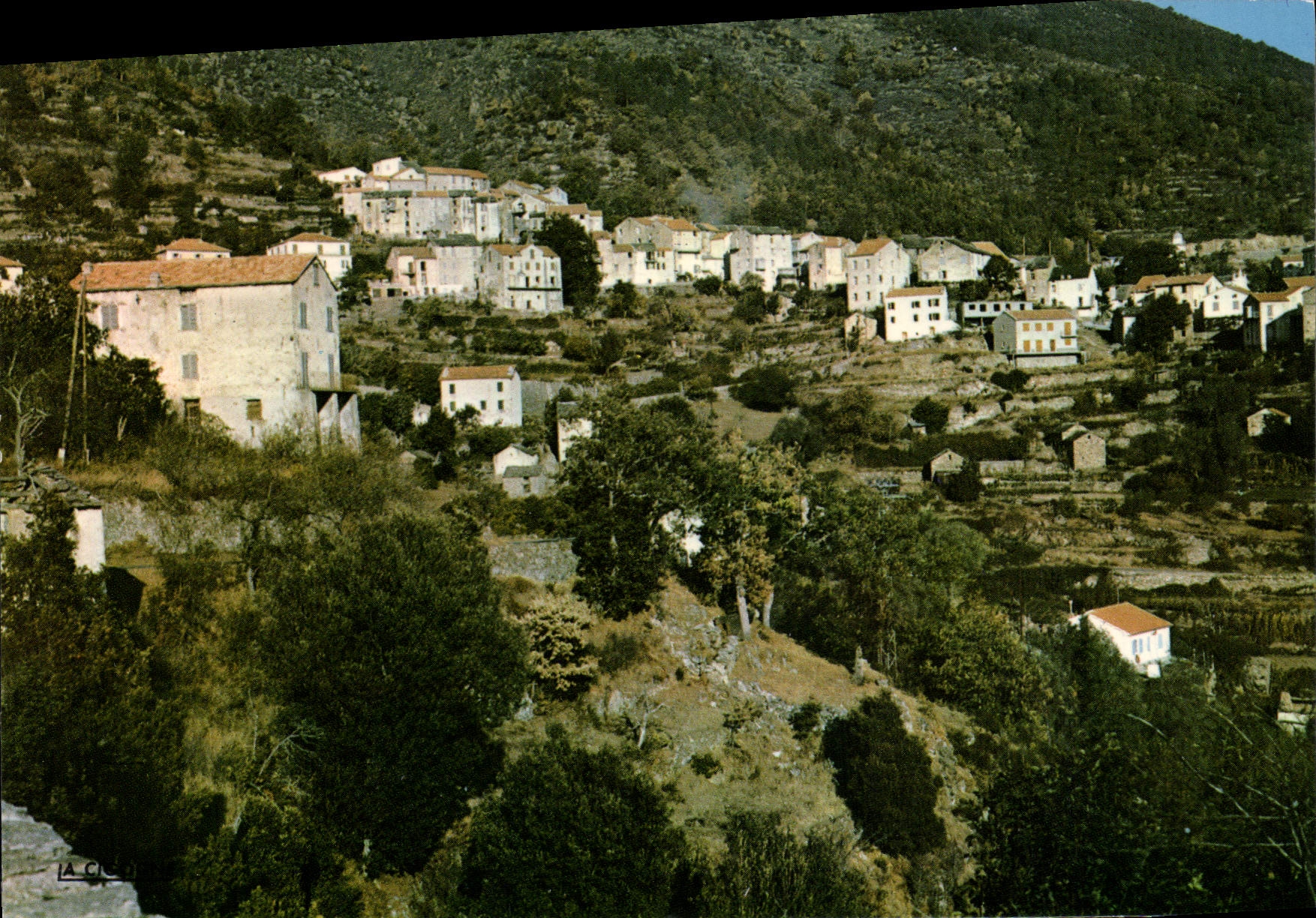 CPA Venaco Vue Partielle Du Village