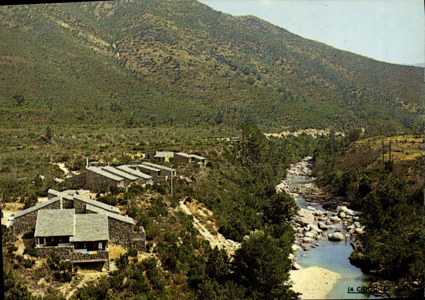 CPA Venaco Paesotel E Caselle Vue Partielle noceta