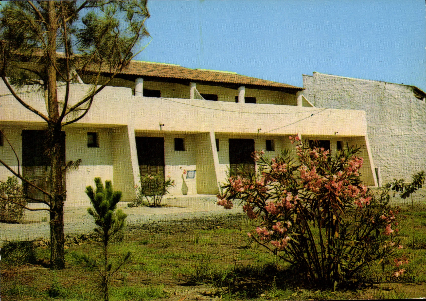 CPA Cap Sud Village De Venzolasca Bungalows