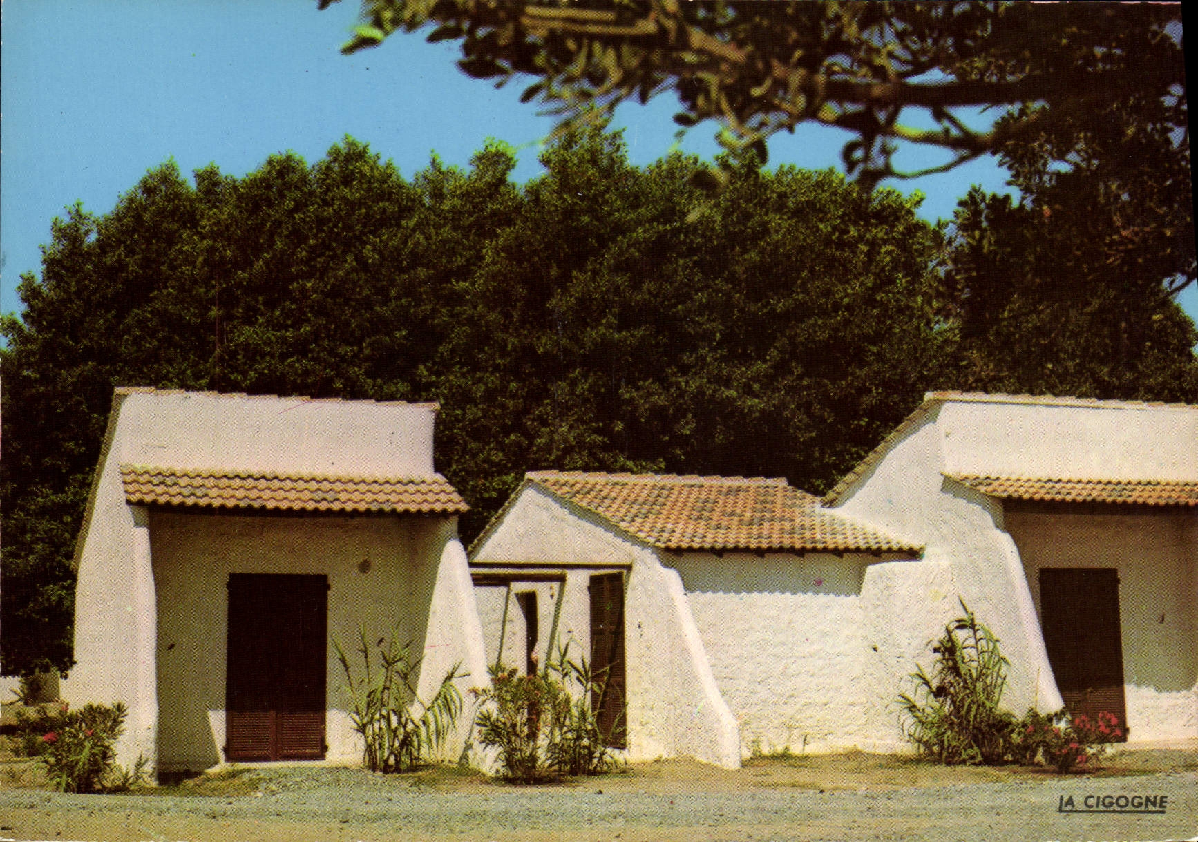 CPA Cap Sud Village De Venzolasca Bungalows