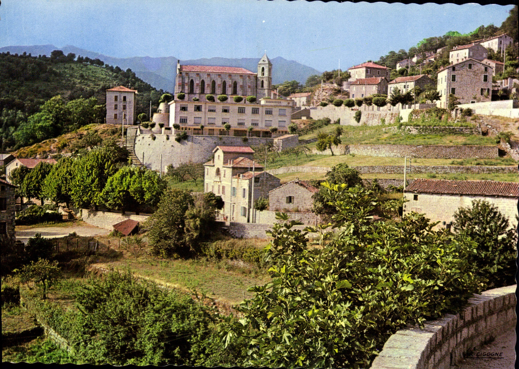 CPA Zicavo La Place De I'Eglise