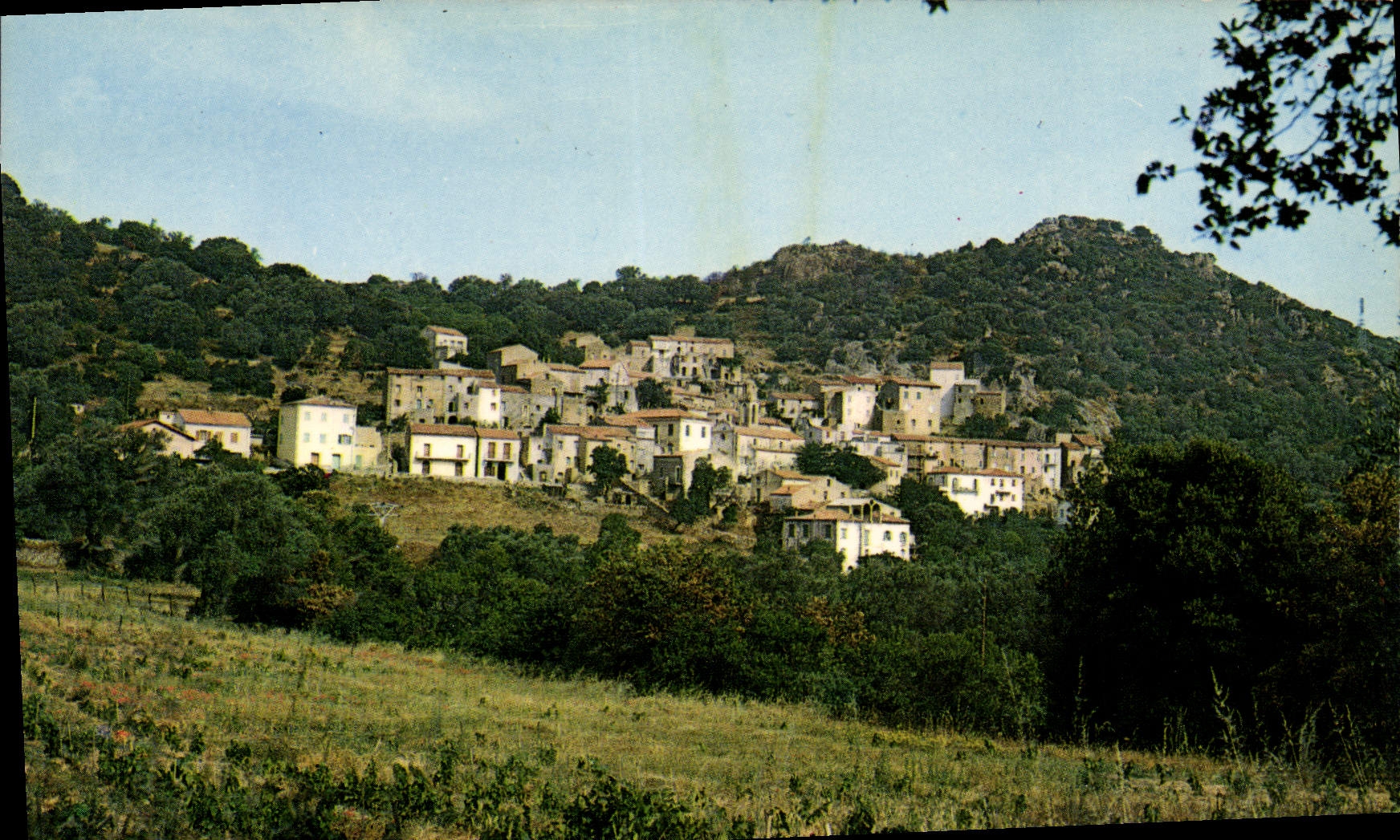 CPA Moncale Vue Generale