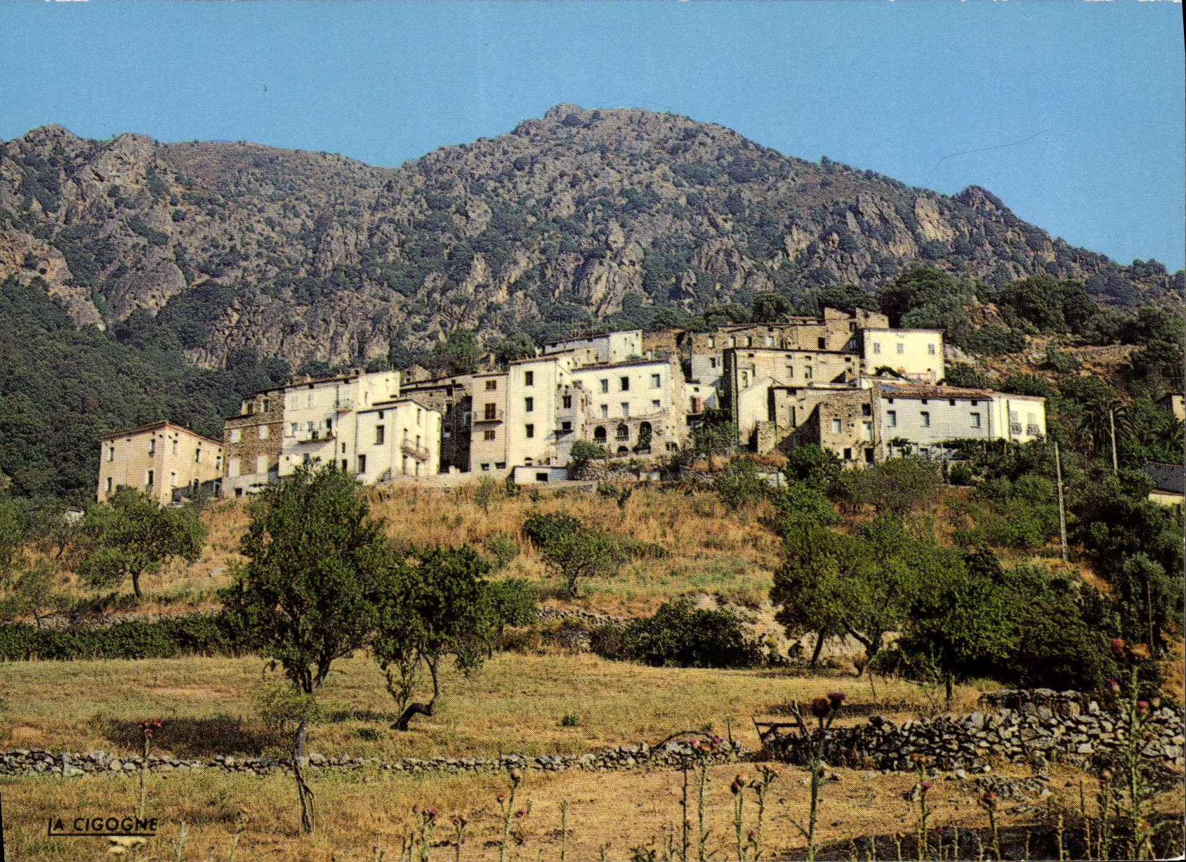 CPA Moltifao Vue Partielle Du Village