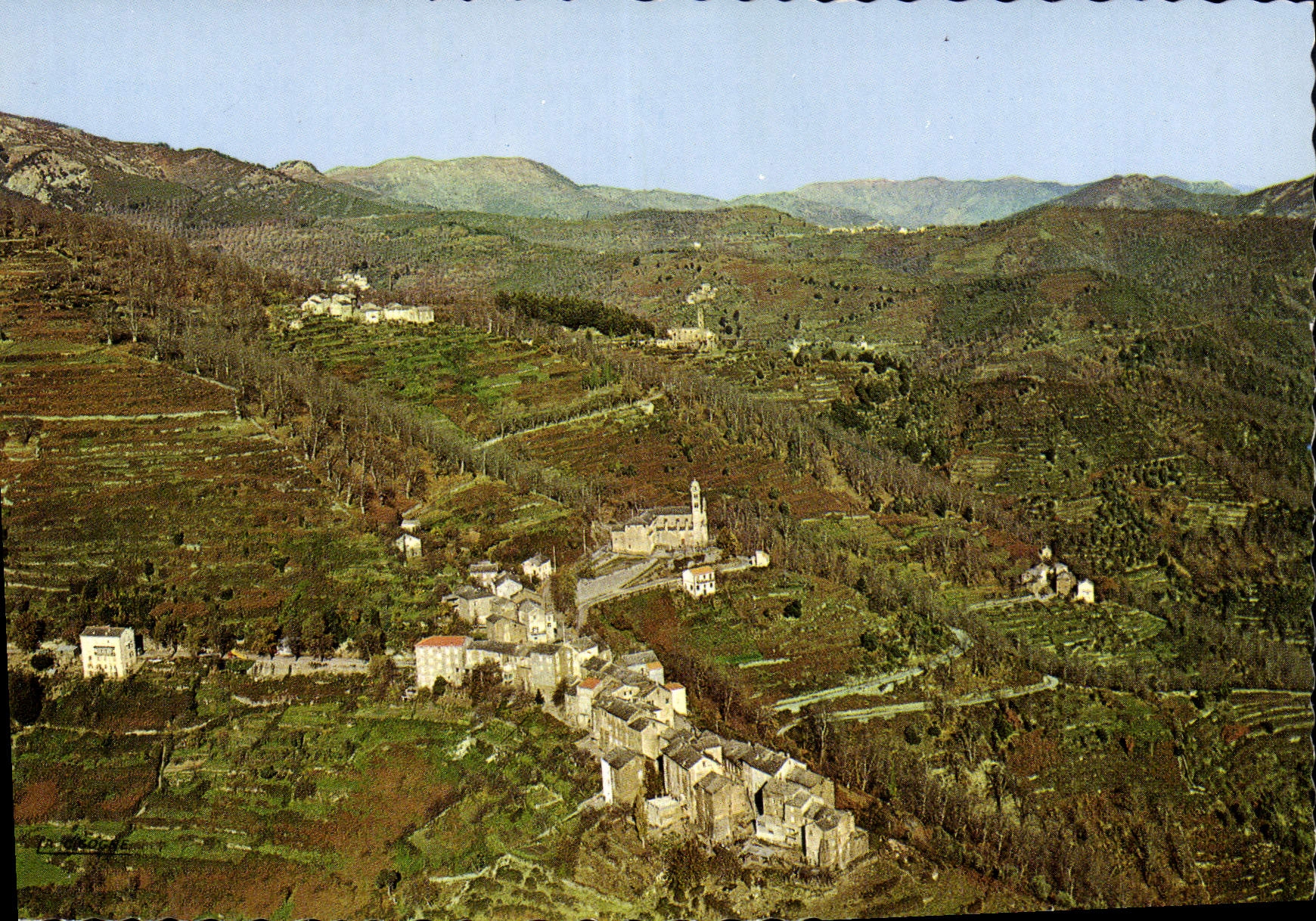 CPSM Piedicroce Vue Generale