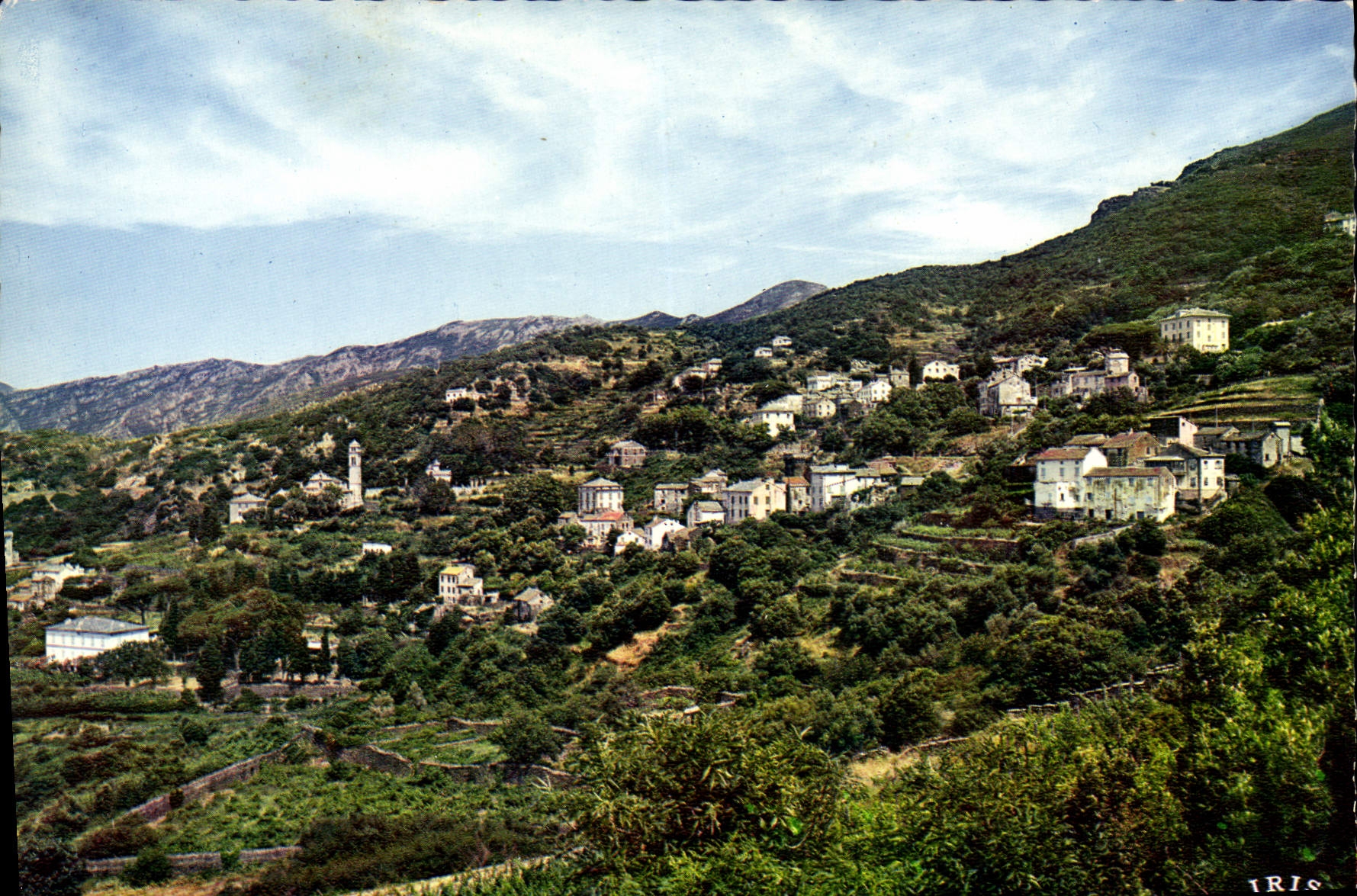 CPSM Pino Vue Generale