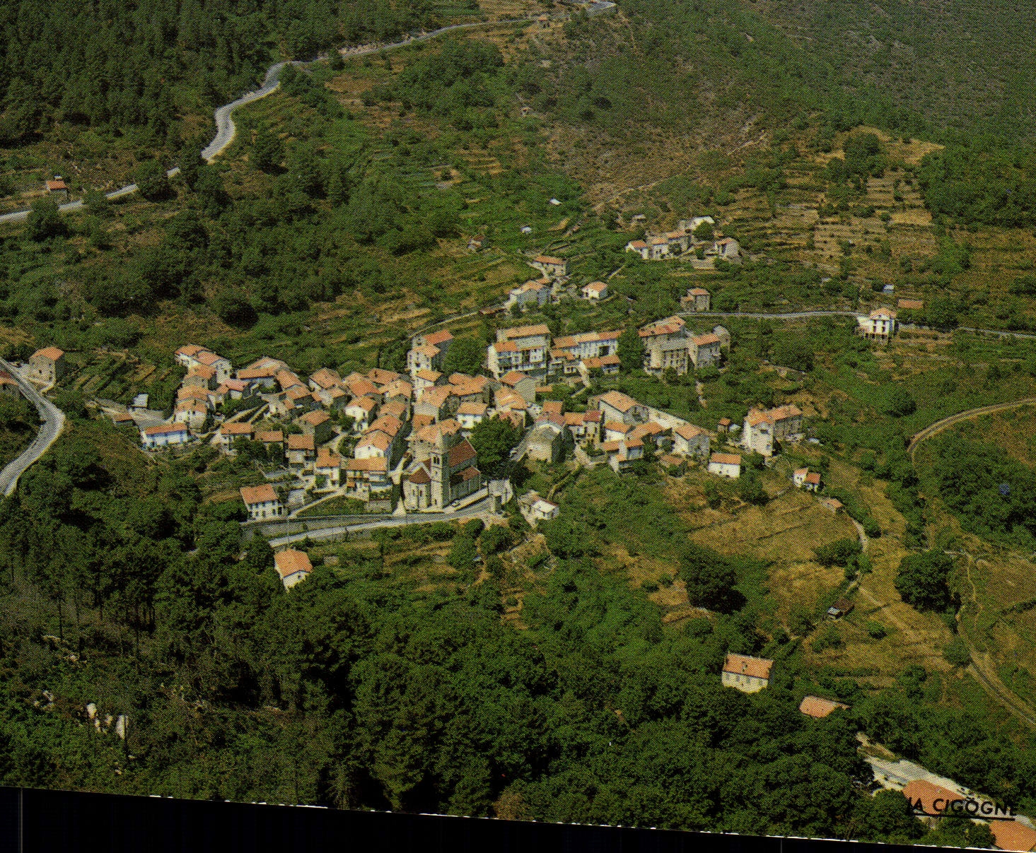 CPSM Vivario Vue Generale