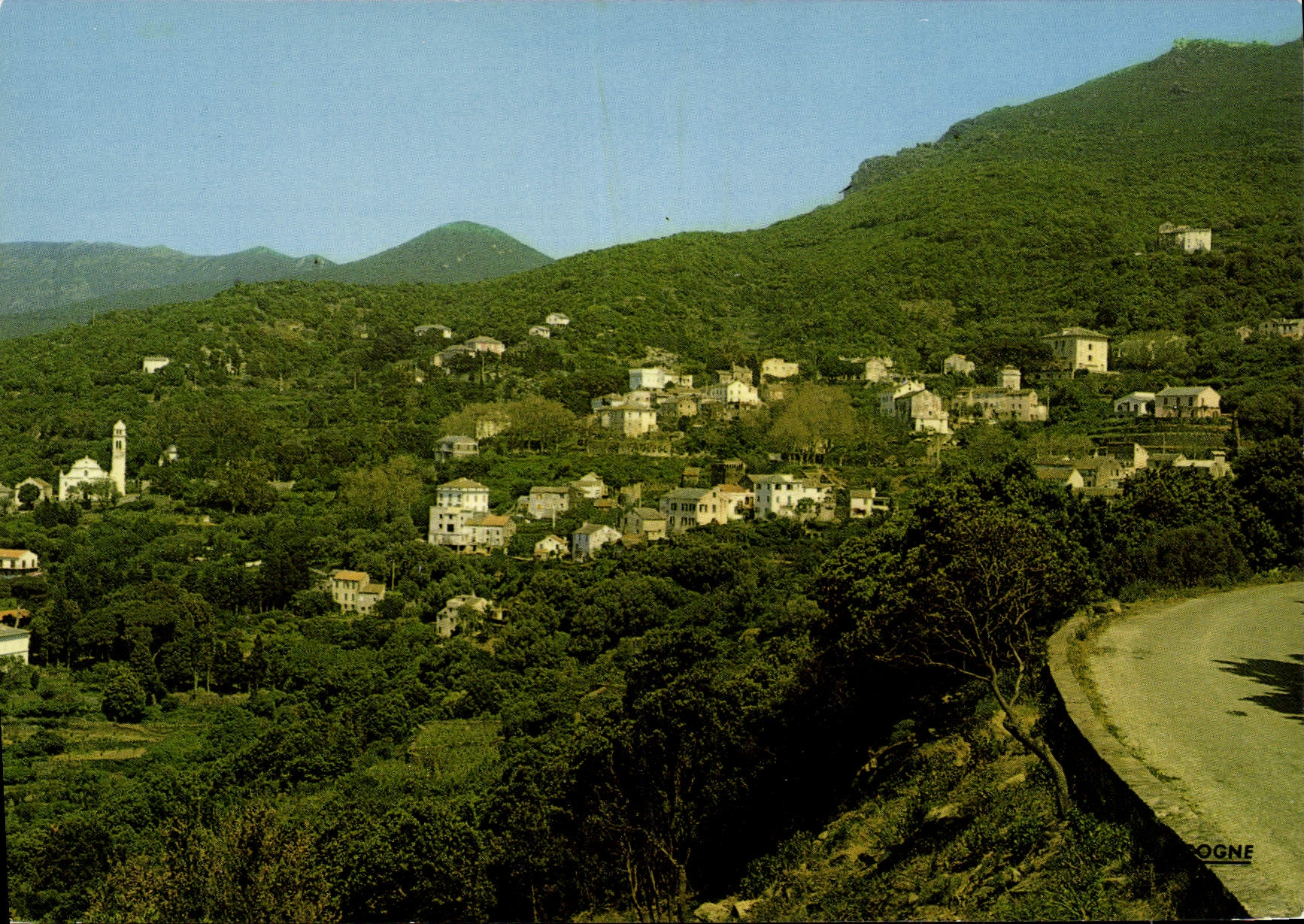CPSM Charmes Et Couleurs De La Corse Pino