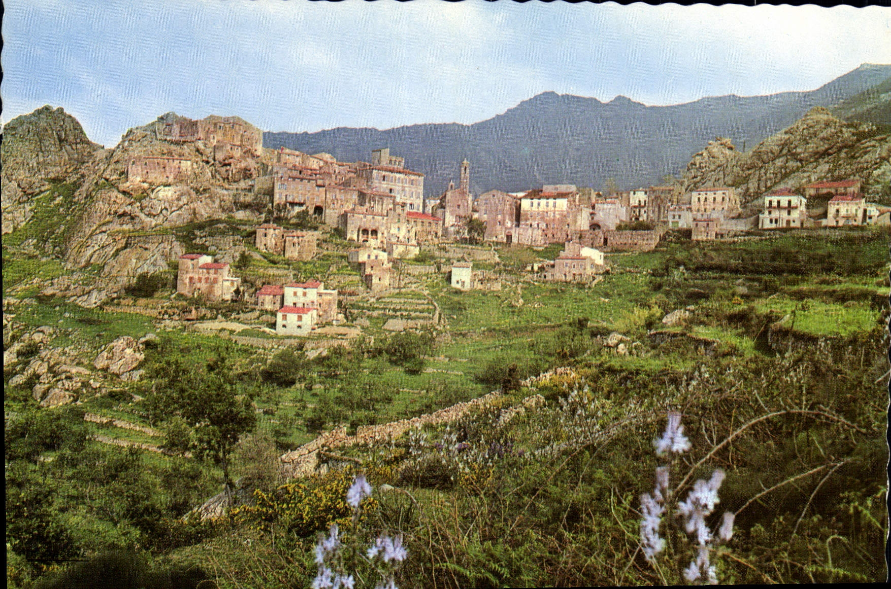 CPSM Speluncato Vue Partielle Du Village