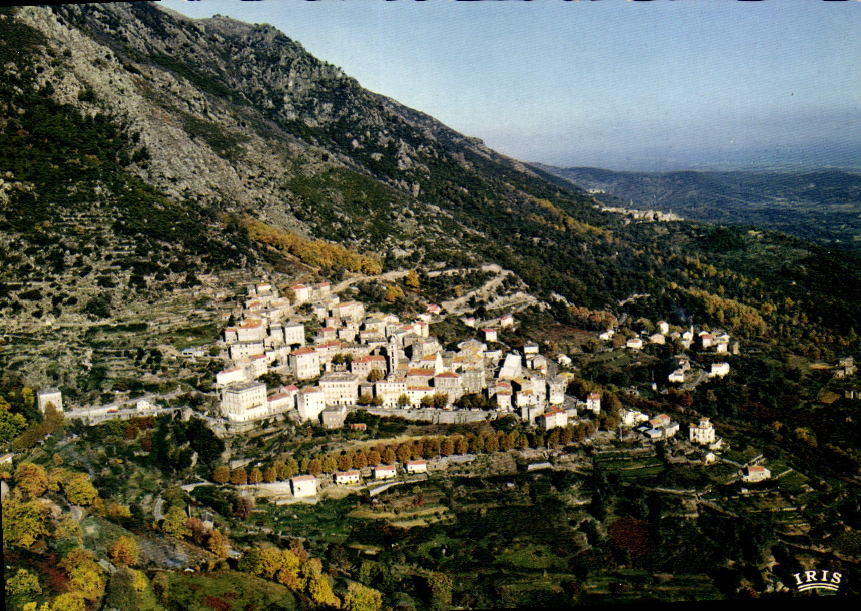 CPSM Cervione Vue Generale