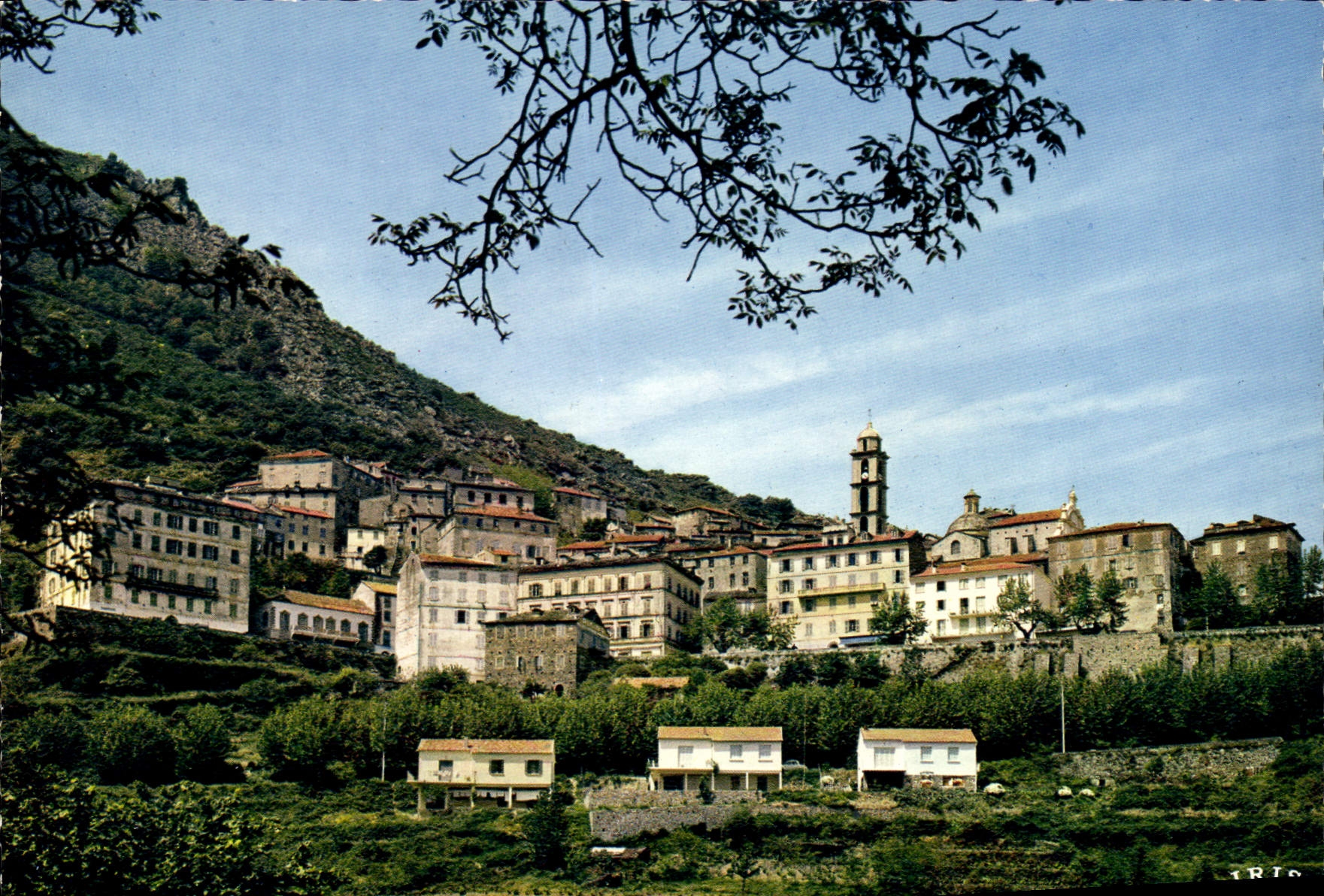 CPSM Cervione Vue Generale