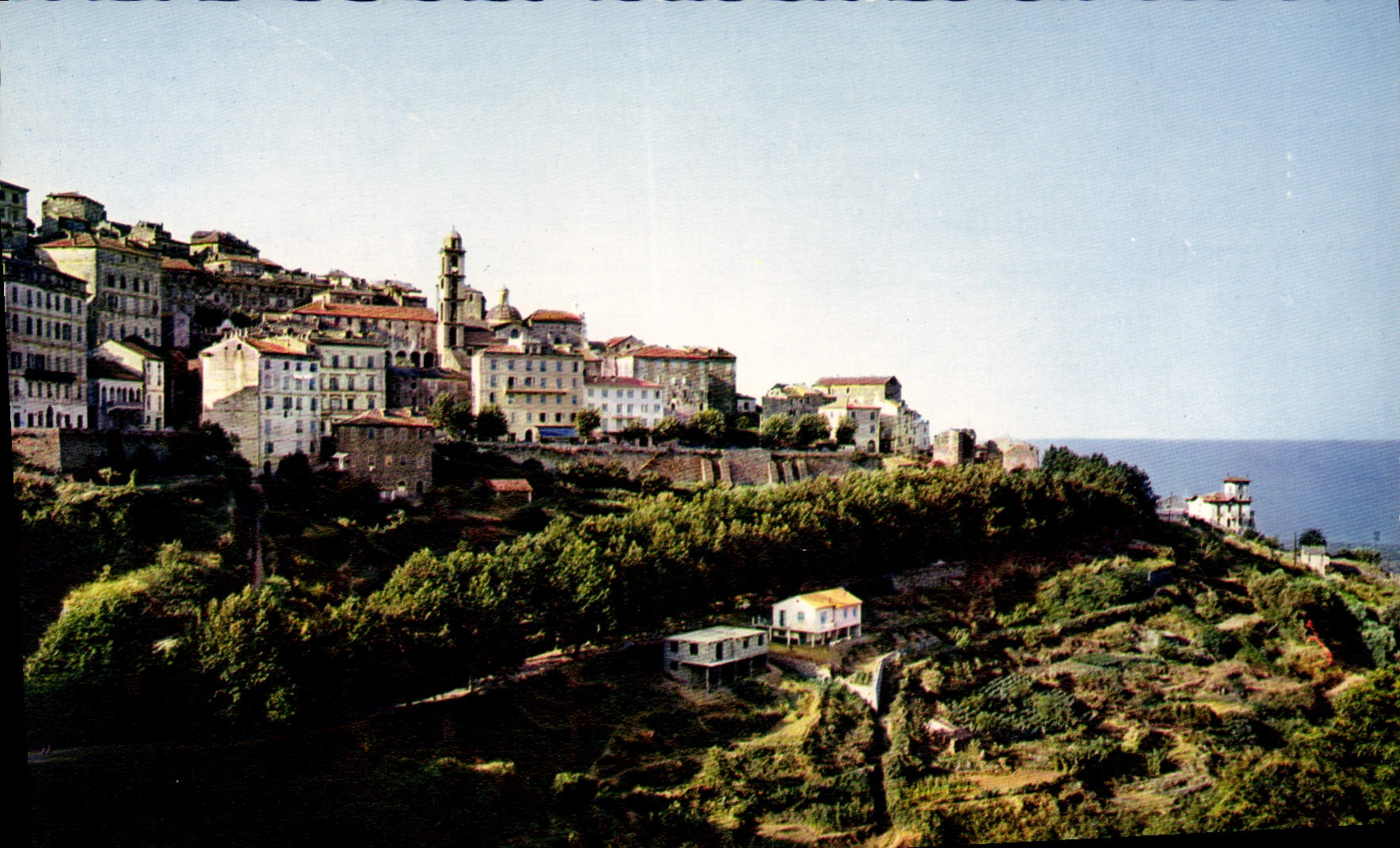 CPSM Cervione Vue Generale