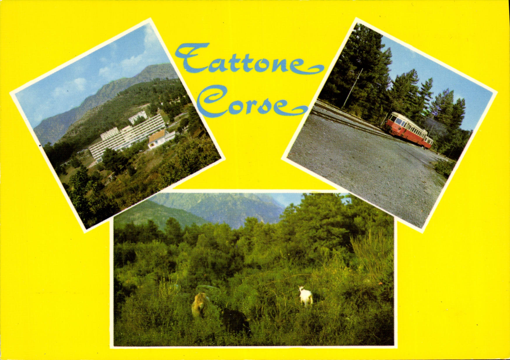 CPSM Vue Du Sanatorium De Tattone