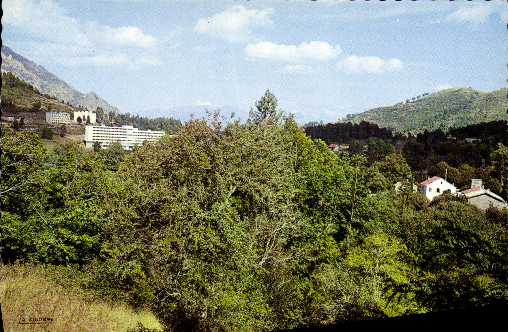 CPSM Tattone Camp De Vacances Des Eclaireurs